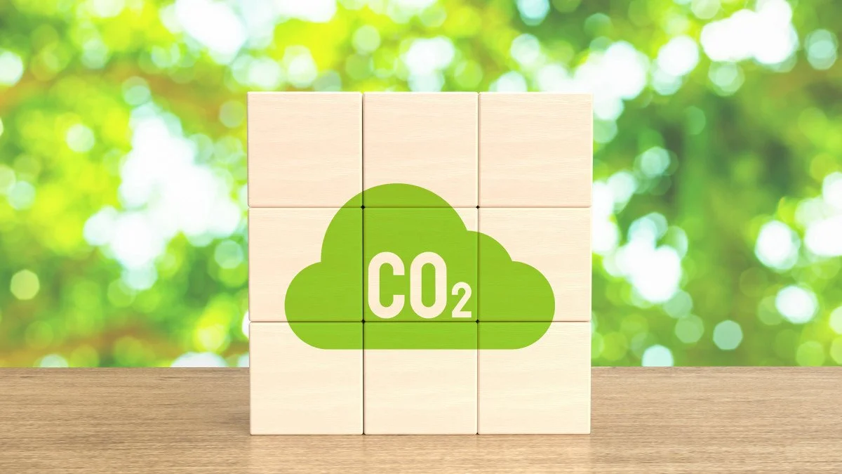 Impacto ambiental de la pérdida del comercio local