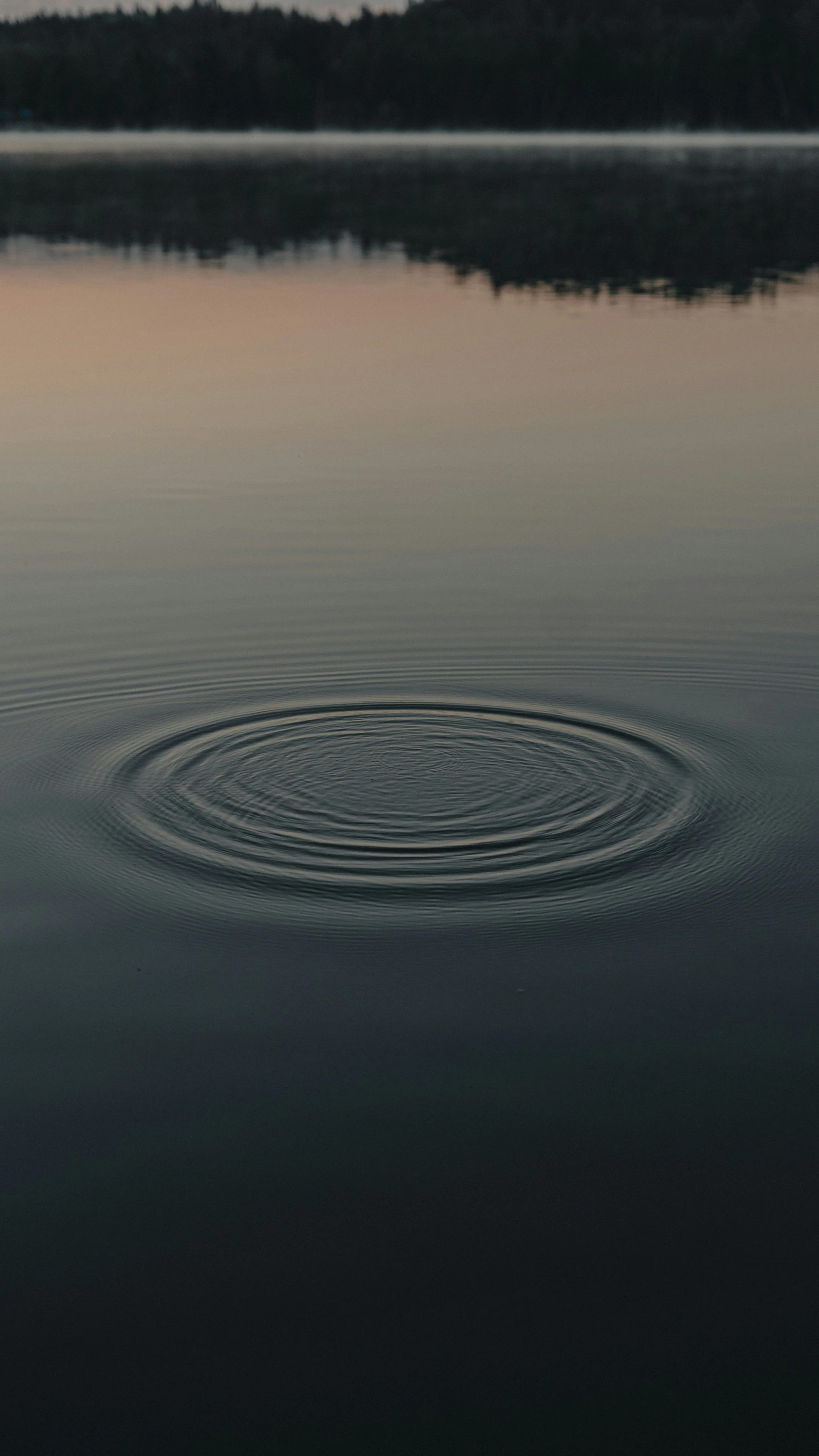 A body of water with gentle ripples and a distant shoreline with trees, during sunset or dusk.