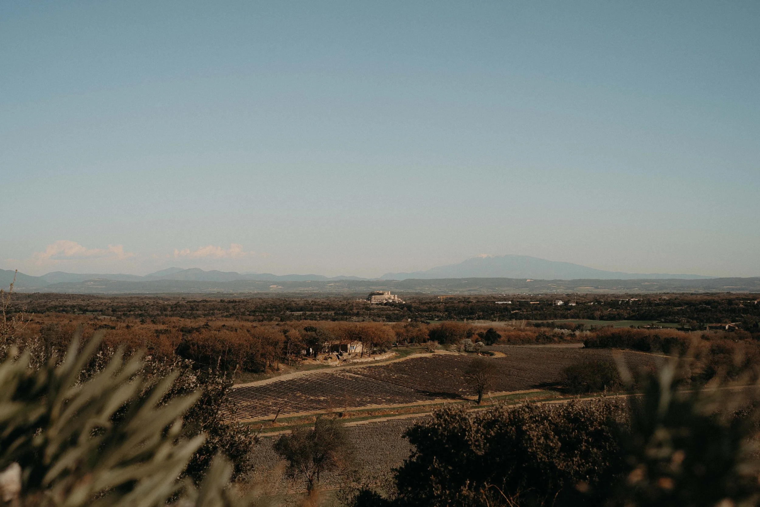 Landscape view of expansive farmland with hills in the distance under a clear blue sky.