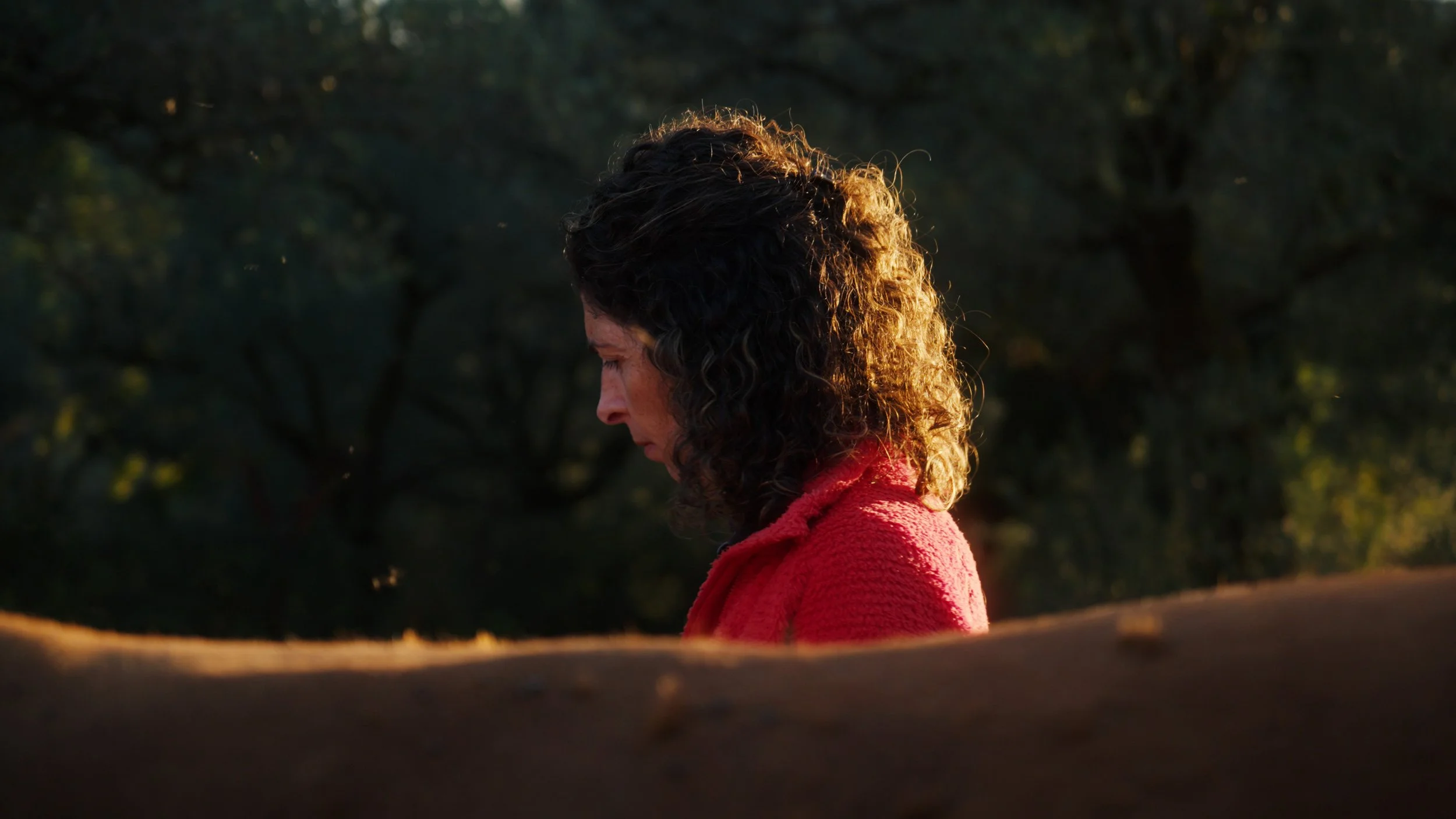 Aida, Agricultora, Covas do Barroso. Frame do filme 'Baldio' Documentário
“Sou a Aida, sou de Covas, sou agricultora, mãe... Agora, ativista é uma palavra muito grande. Muito fora de Covas.”