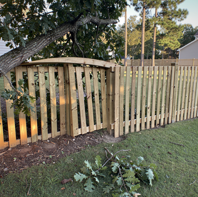 Tree Limb Fell on the Fence? Who Goes First and What to Check