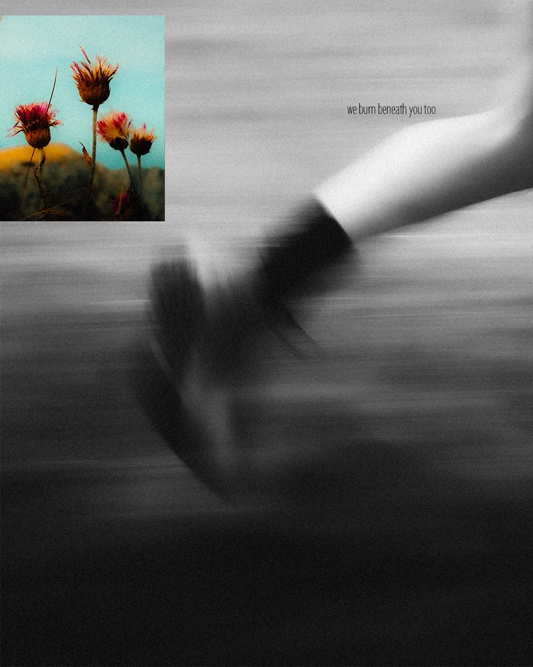 Photo en noir et blanc d'une main tenant un objet indéfini avec la légende 'we burn beneath you too'. En haut à gauche, petite image couleur de fleurs sèches sur un fond bleu clair.