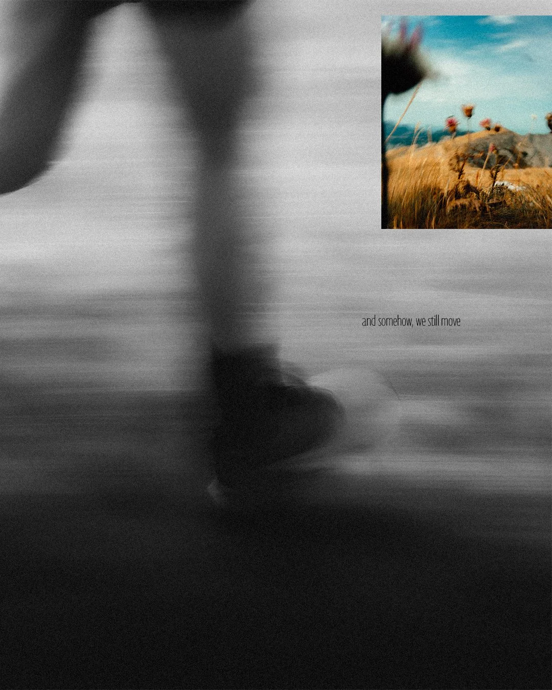 Un homme marche dans l'eau, avec un paysage de prairies et de montagnes au loin, accompagnée du texte en anglais "and somehow, we still move".