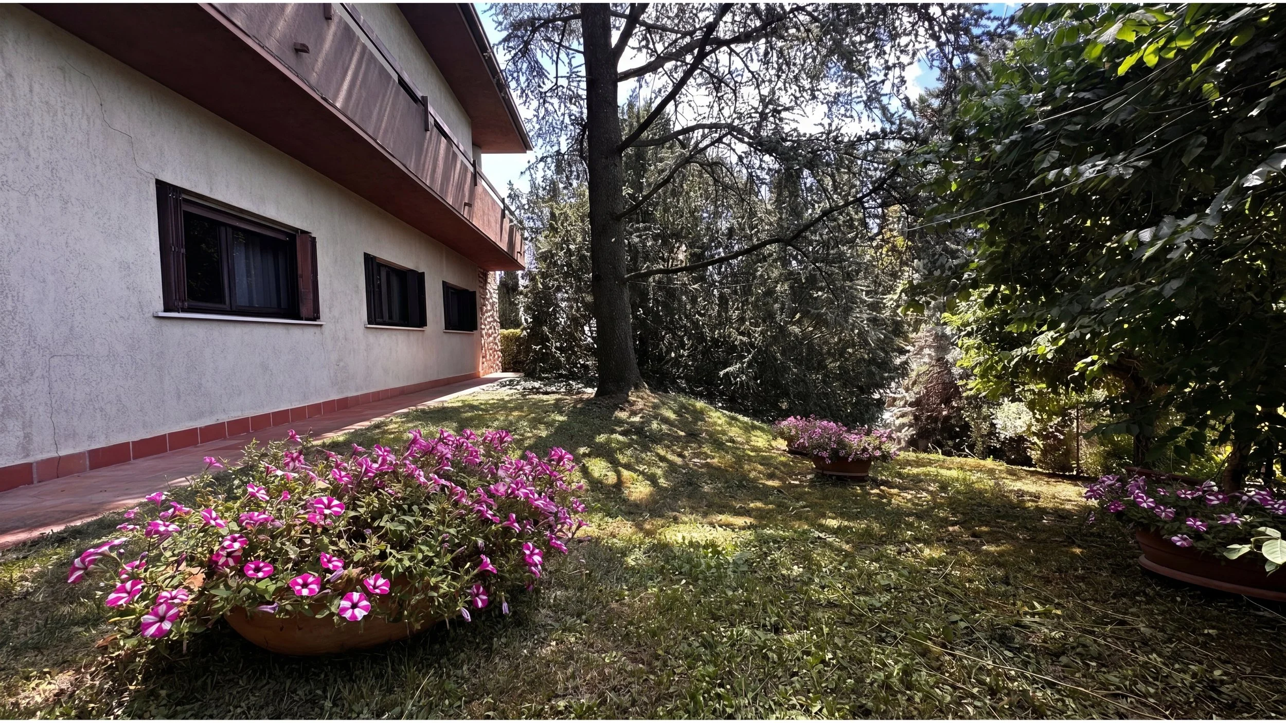 Giardino con fiori rosa davanti a una casa con pareti bianche, finestra e balcone, grandi alberi e una pianta di fiori in vaso, giorno soleggiato.