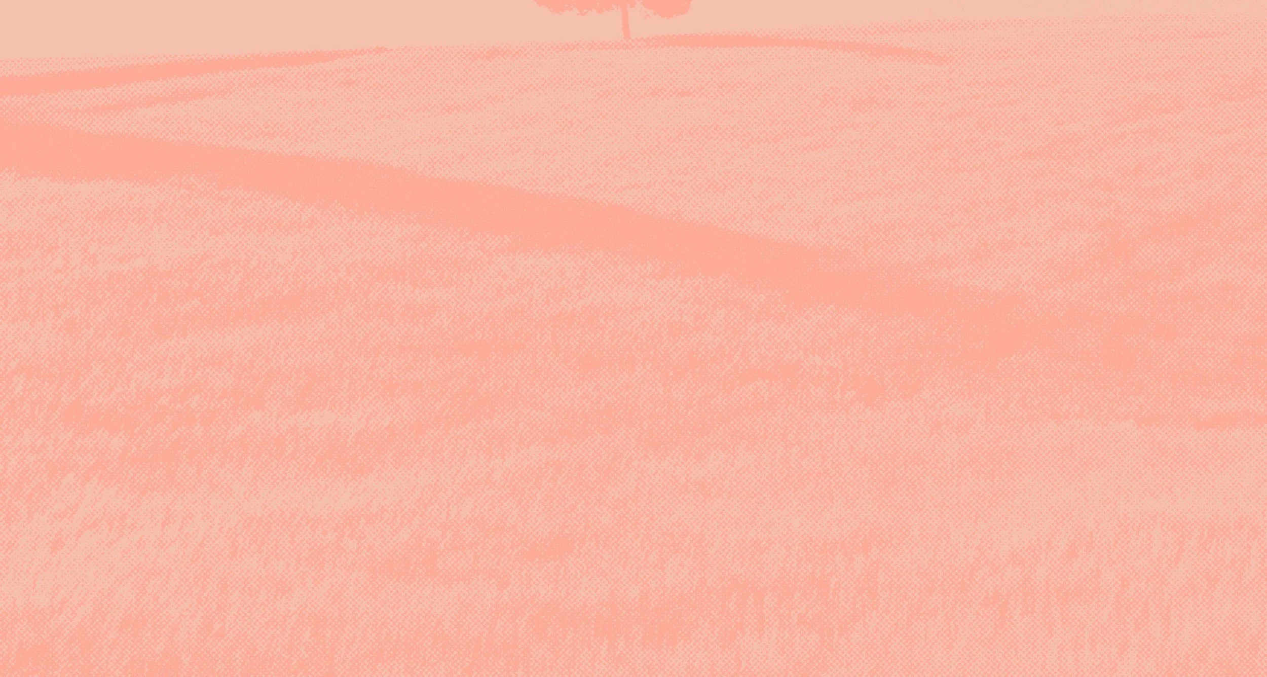 Empty peach-colored textured background