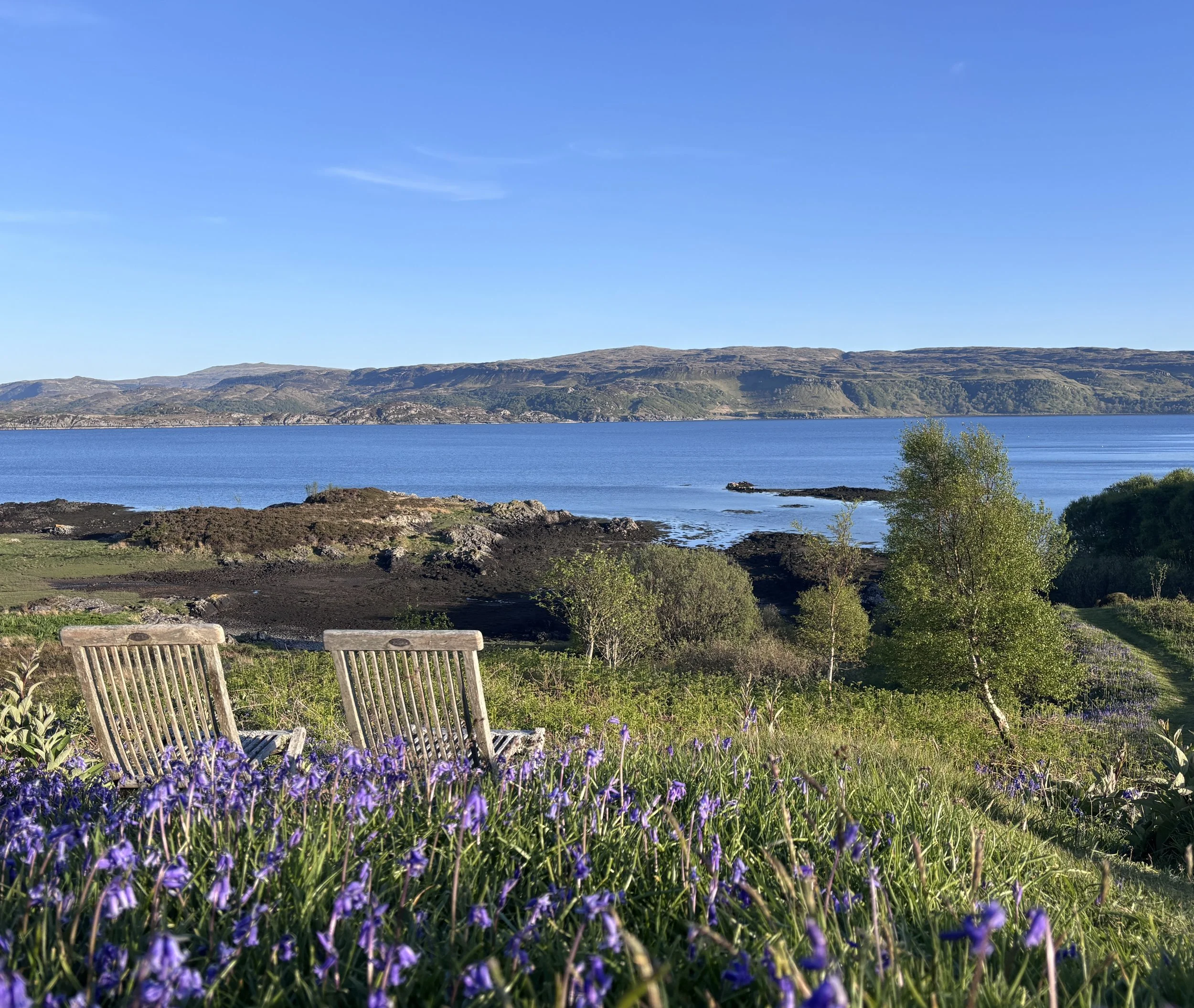 two chairs and loch view beside bluebells at Greenwood