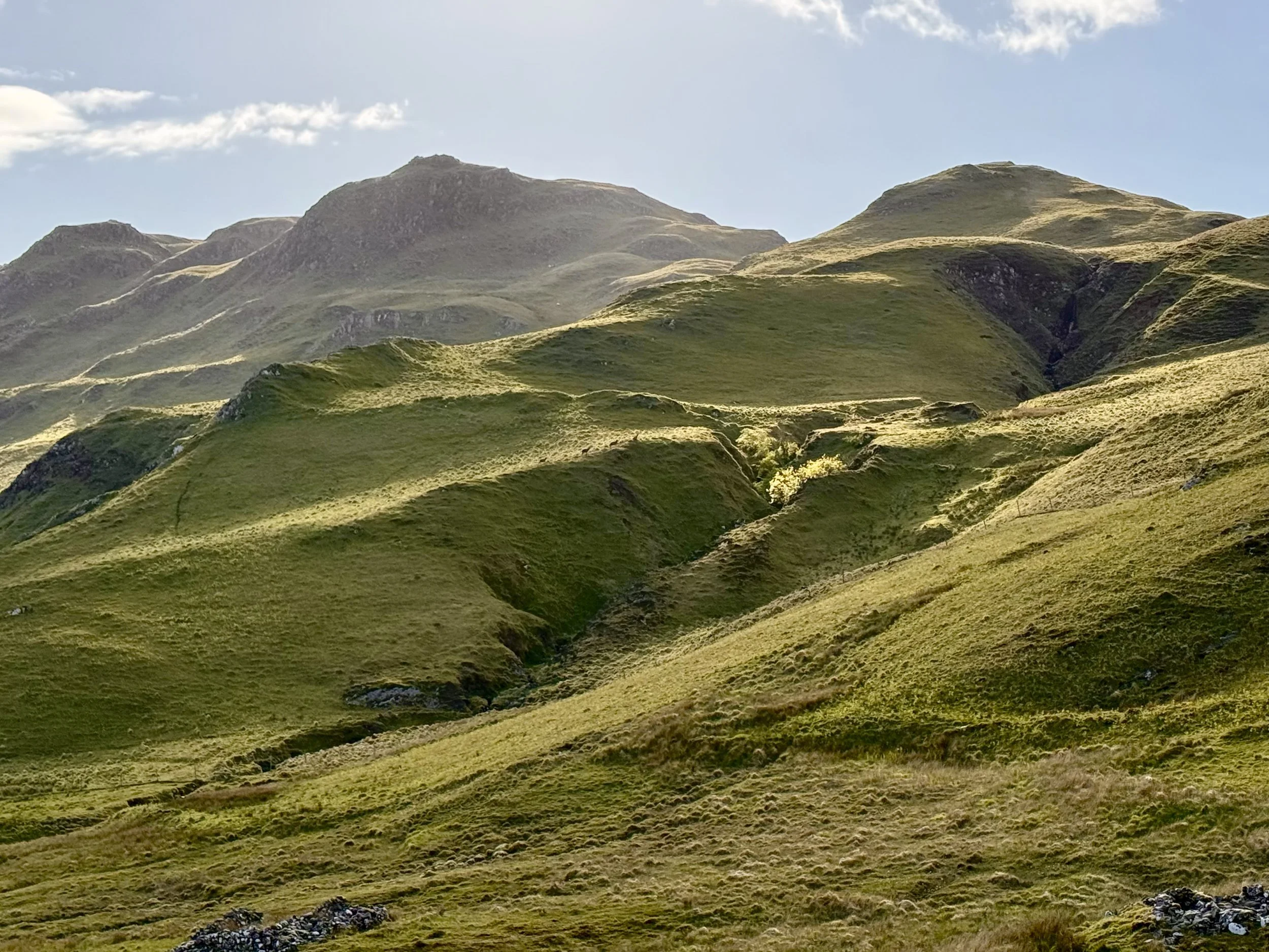Ben Hiant view 