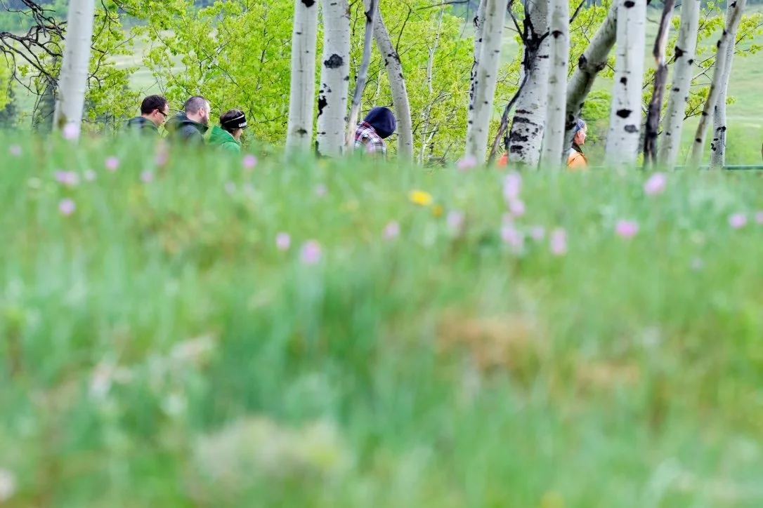 Leaders walk in forrest