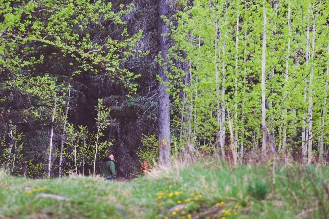 leader in forrest