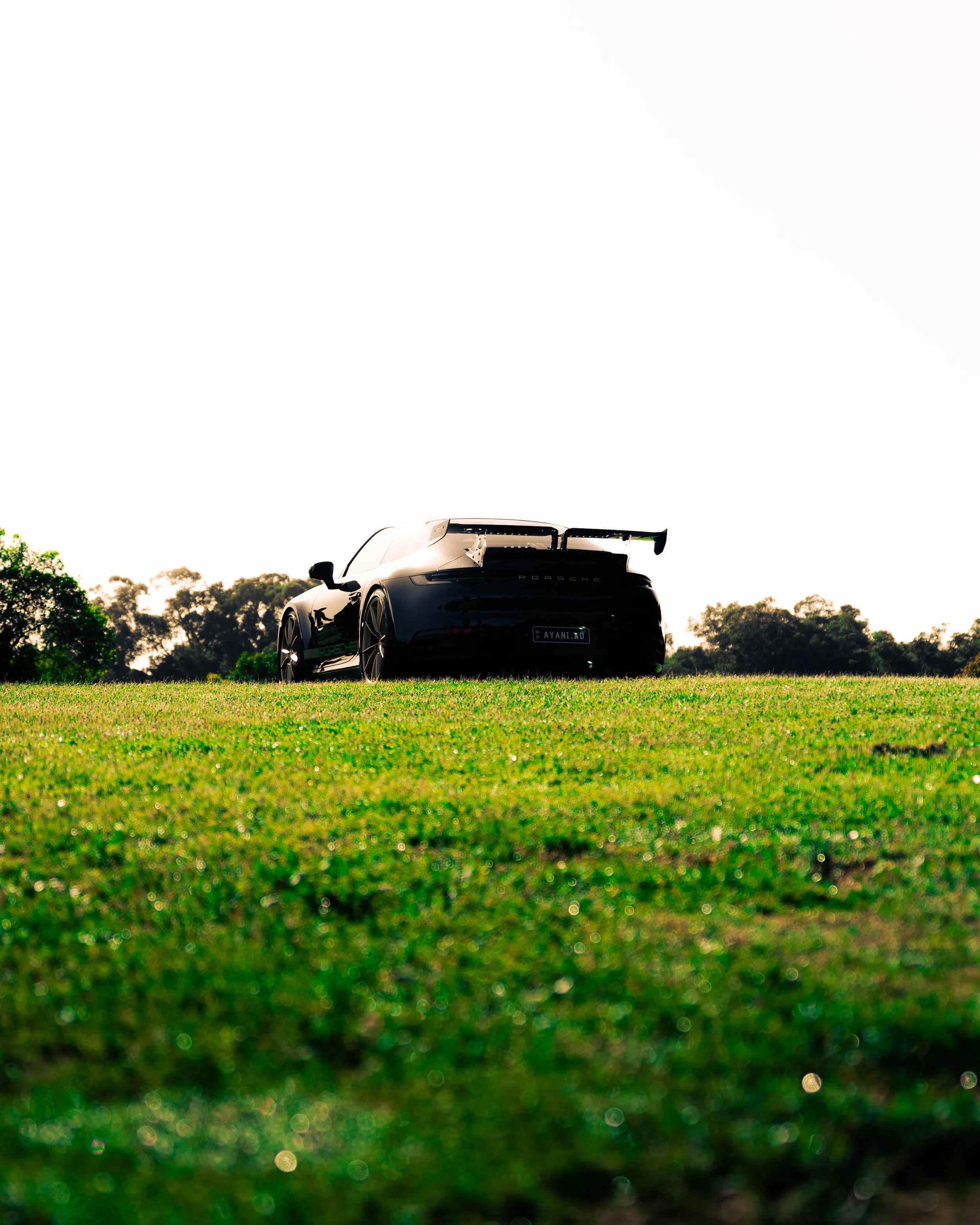 Black sports car with rear spoiler parked on a grassy field with trees in background and a clear sky.