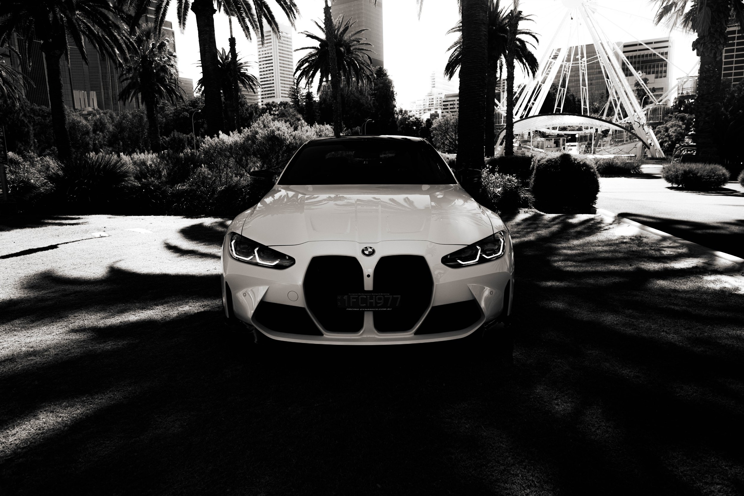 A white BMW sports car parked in a shaded area with tall palm trees, bushes, and a city skyline with high-rise buildings in the background, as well as a large Ferris wheel.