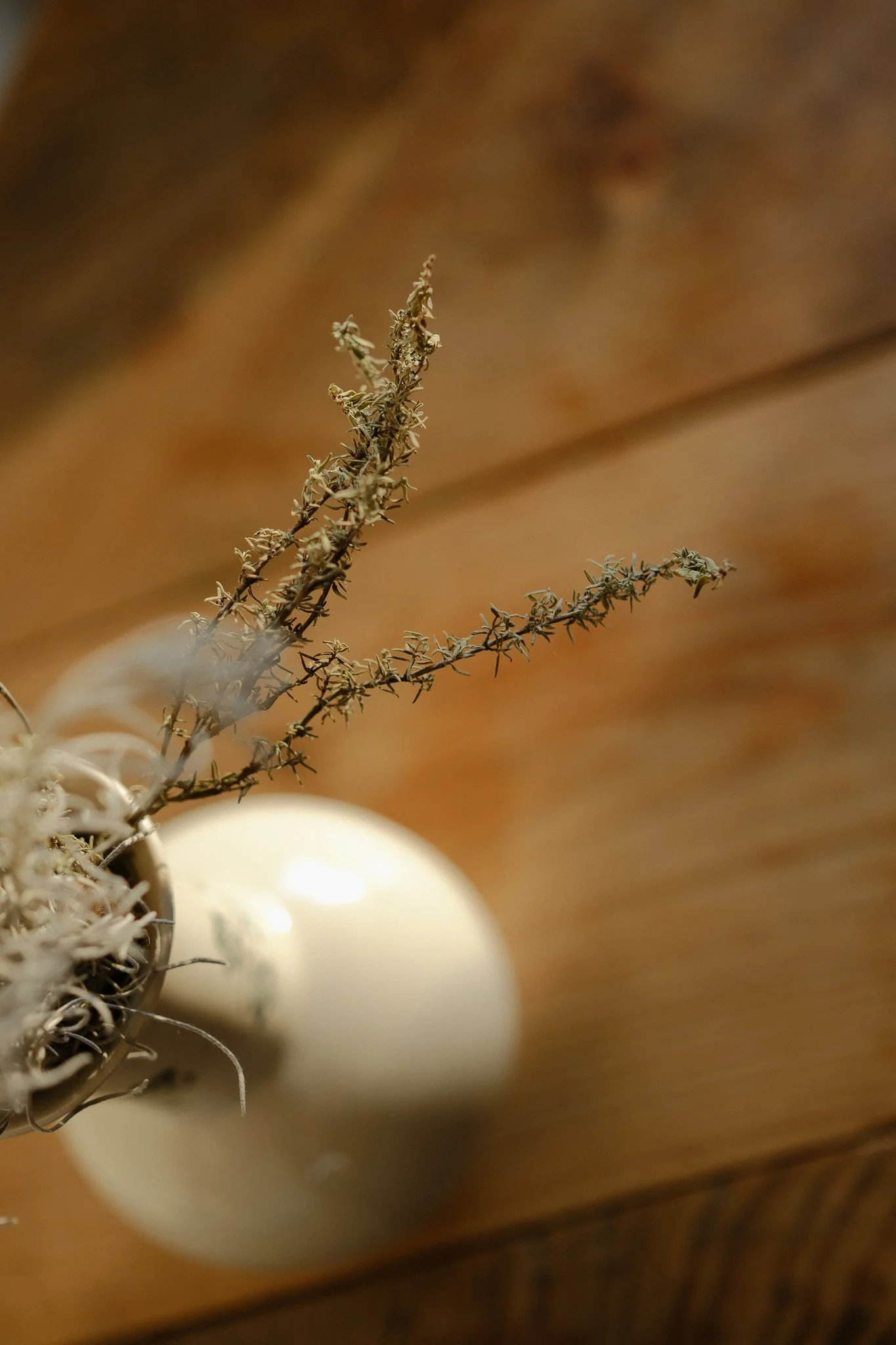 photographe des savoir-faire et de l'artisanat
