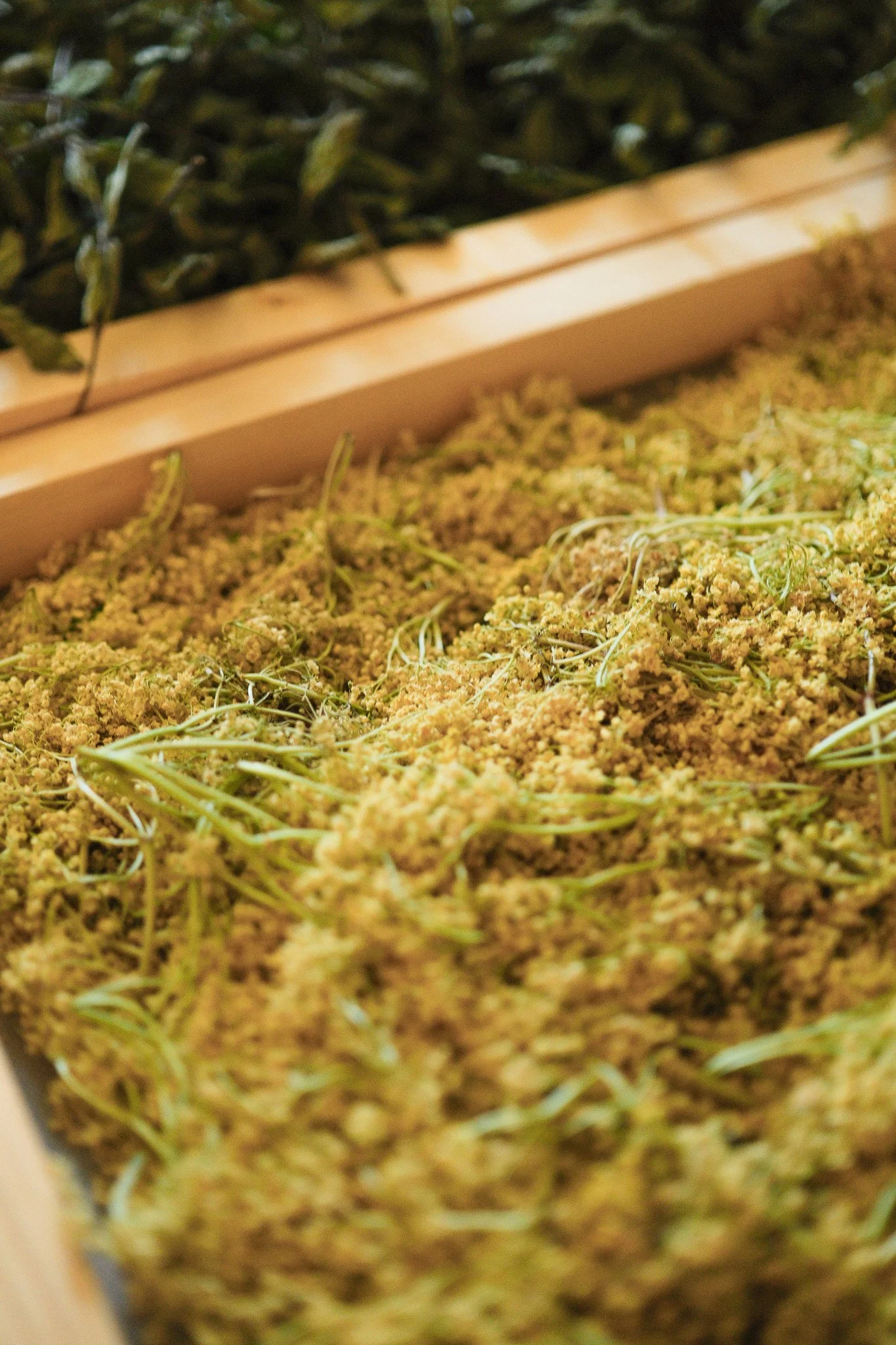 plantes-biologiques-artisanat-paysanne