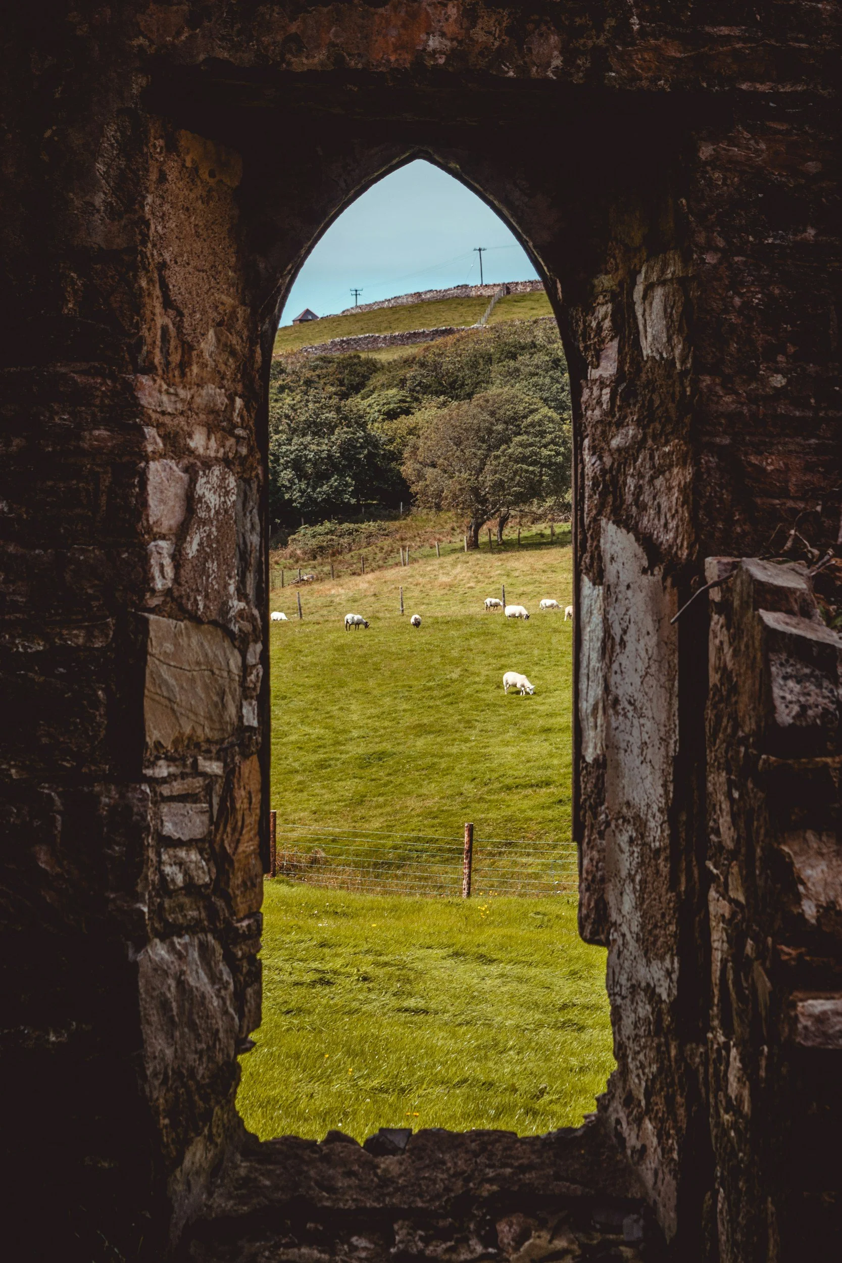 A view of a green pasture with sheep grazing, seen through a narrow, arched opening in a stone wall, with rolling hills and power lines in the background.