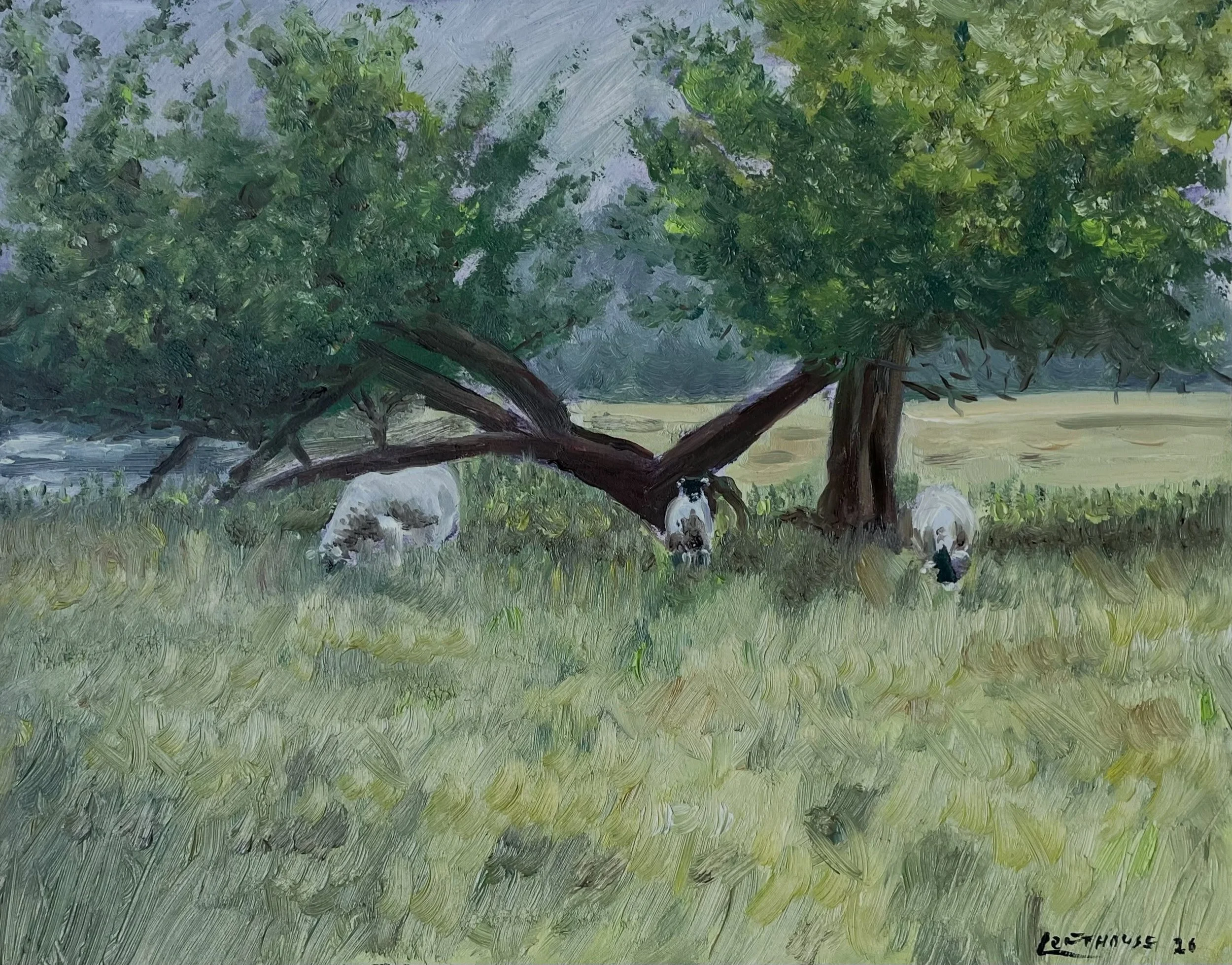 Part of the Dales collection from my recent visit. Always enjoy going back. &ldquo;Sheep on the Swale&rdquo; 8x10 @ampersand_art gessobord. #yorkshire #yorkshiredalesnationalpark #oilpainting #sheep