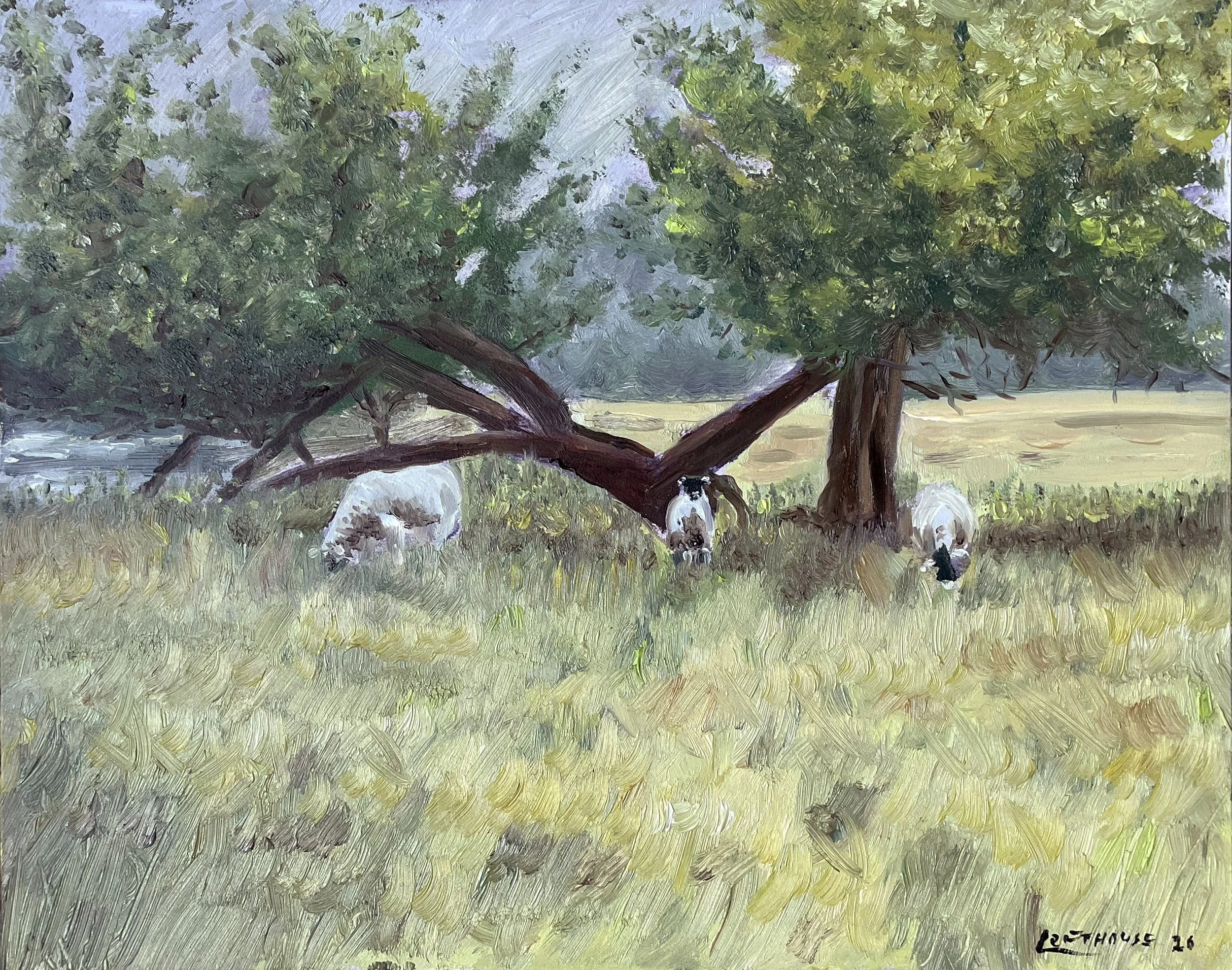 Sheep on the Swale2.jpg
