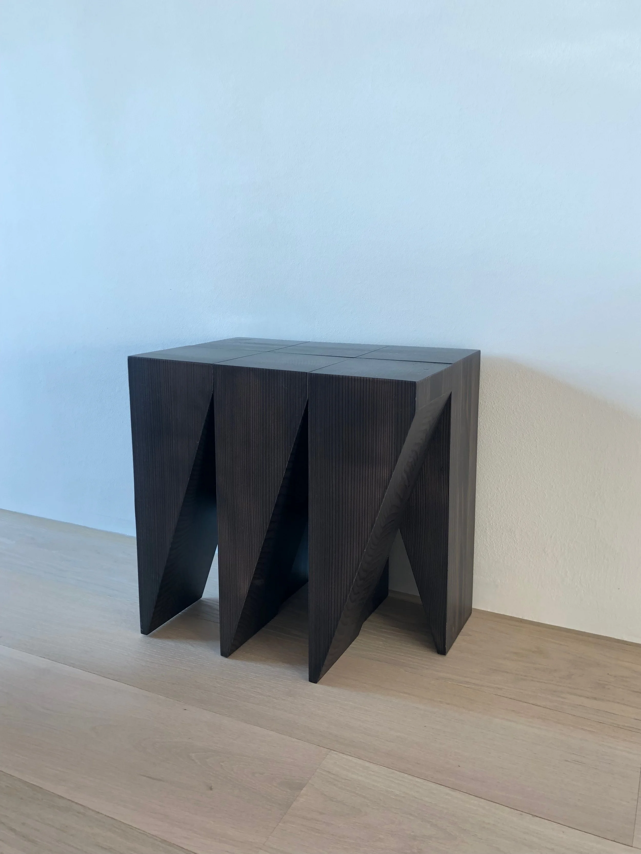 insetto2.jpg