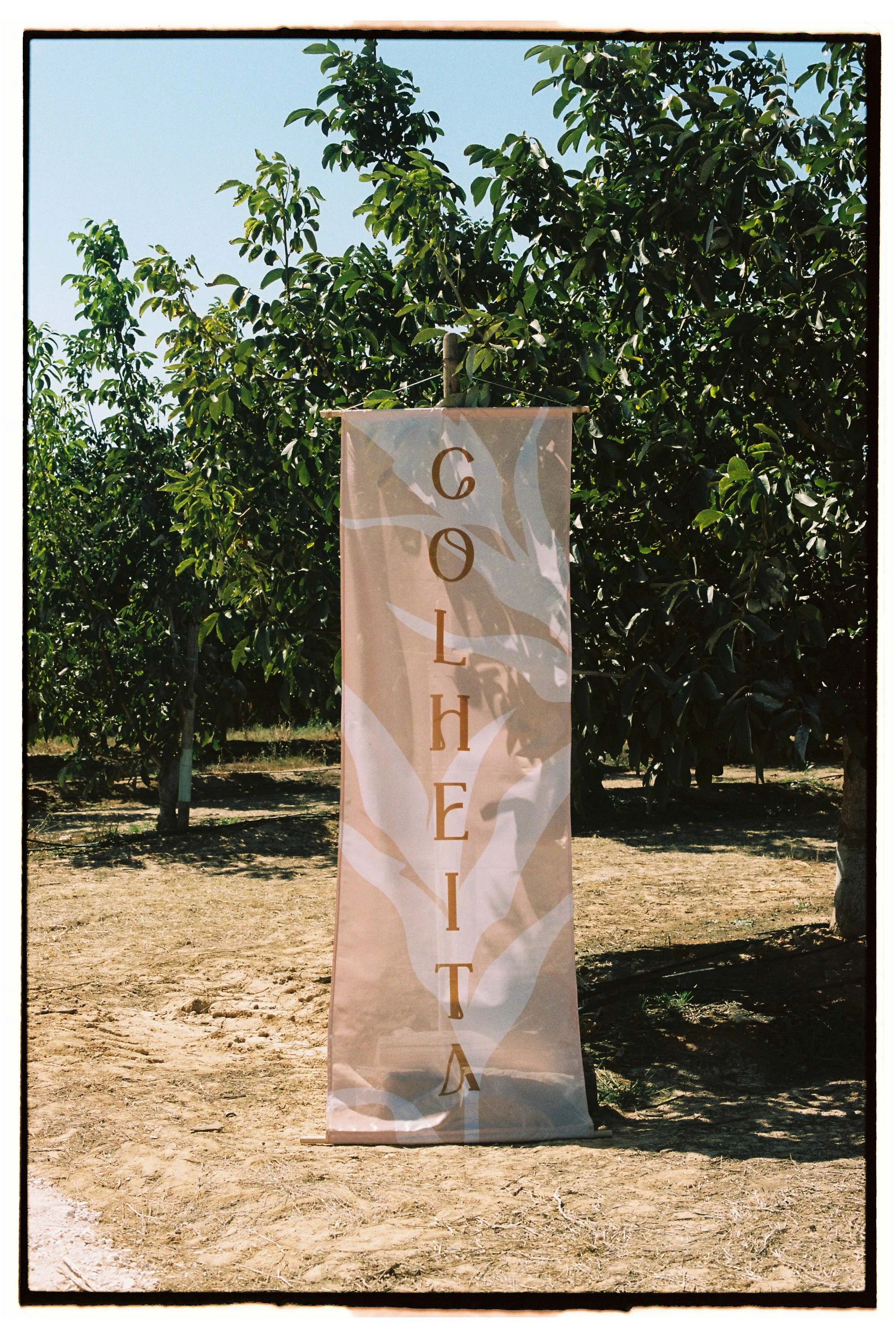 Fabric banner reading “GOLDEIT” beside trees on bare ground outdoors, photographed at a wedding in Portugal.