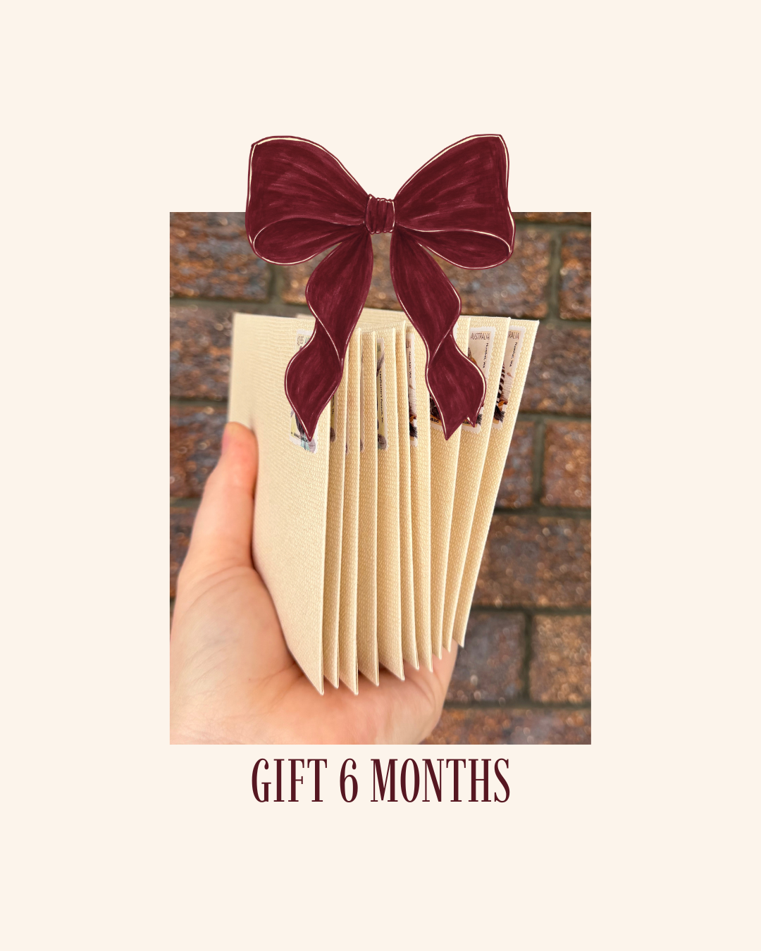 6 Months Subscription