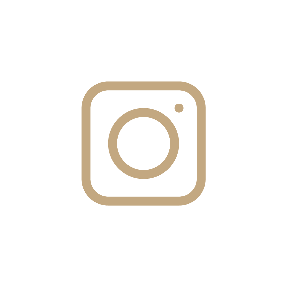 Instagram Social Icon