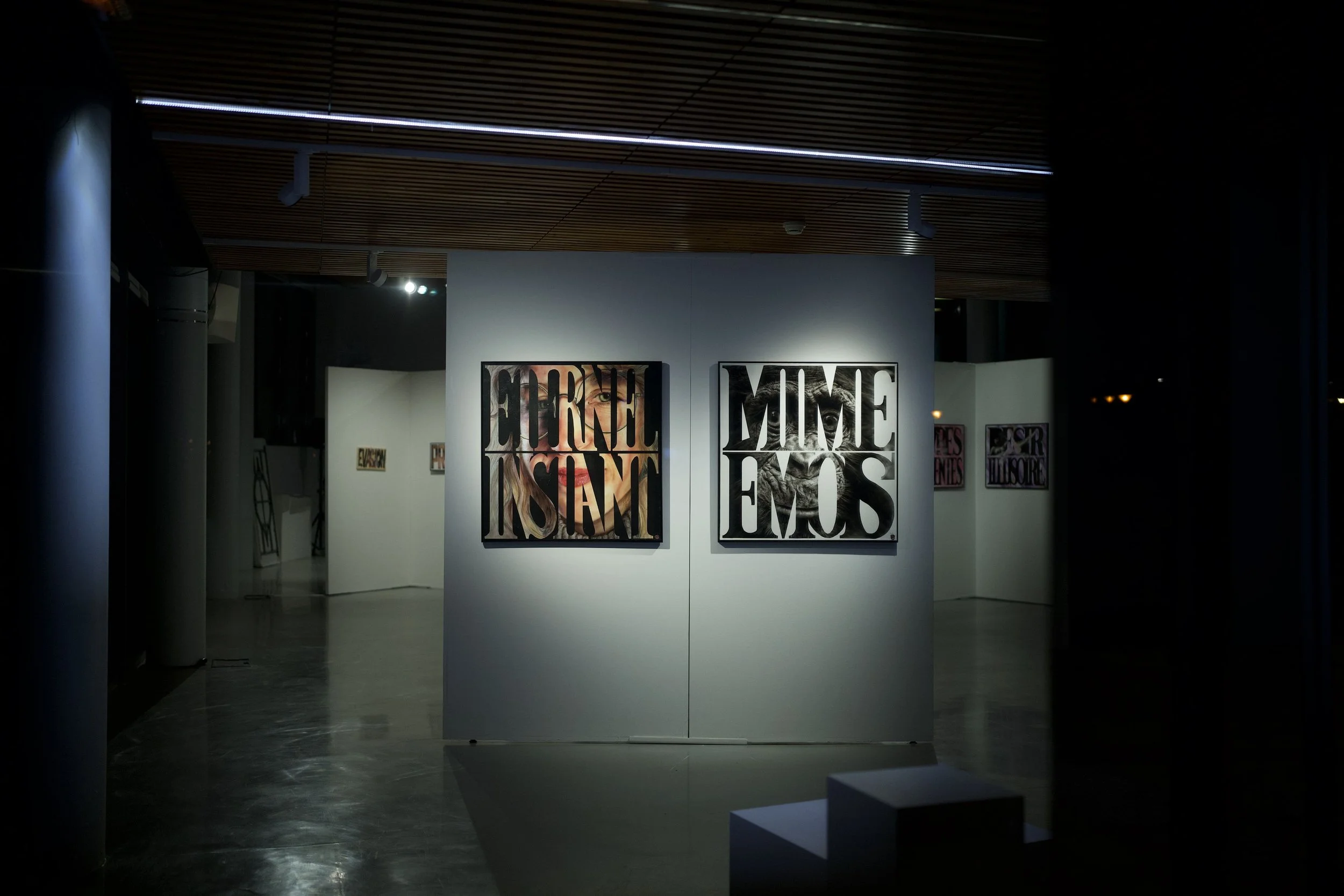 Exposition d'art dans une galerie mystérieuse avec des affiches illustrant des visages et des textes en français.