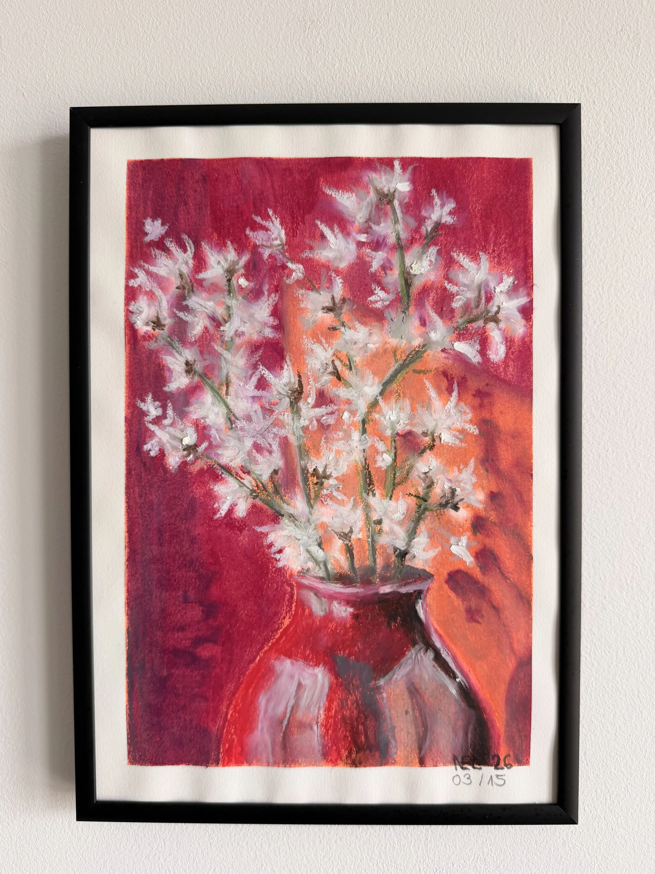Star Magnolia in Velvet Crimson