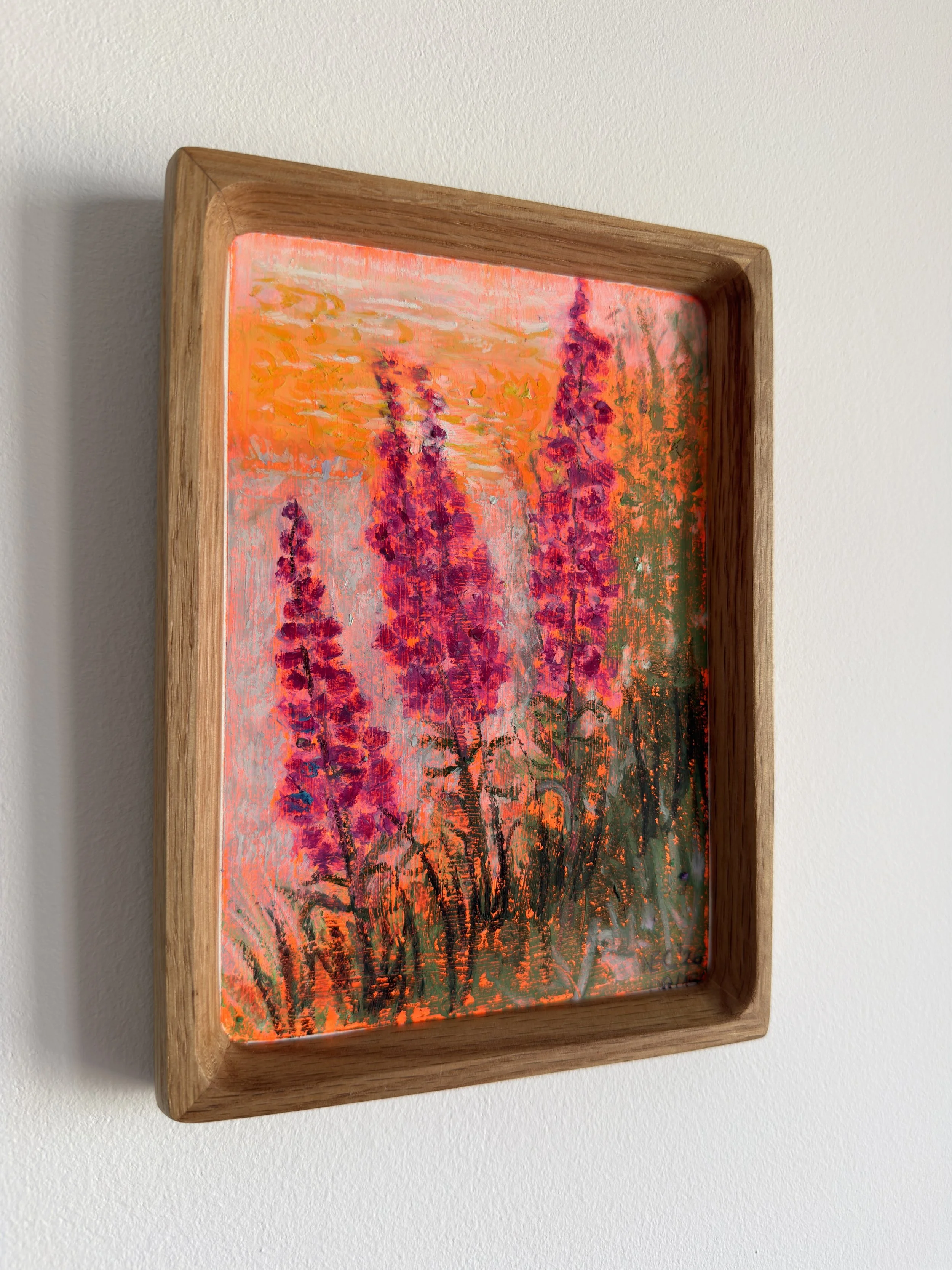 pink-loosestrife-oil-pastel-painting.JPG