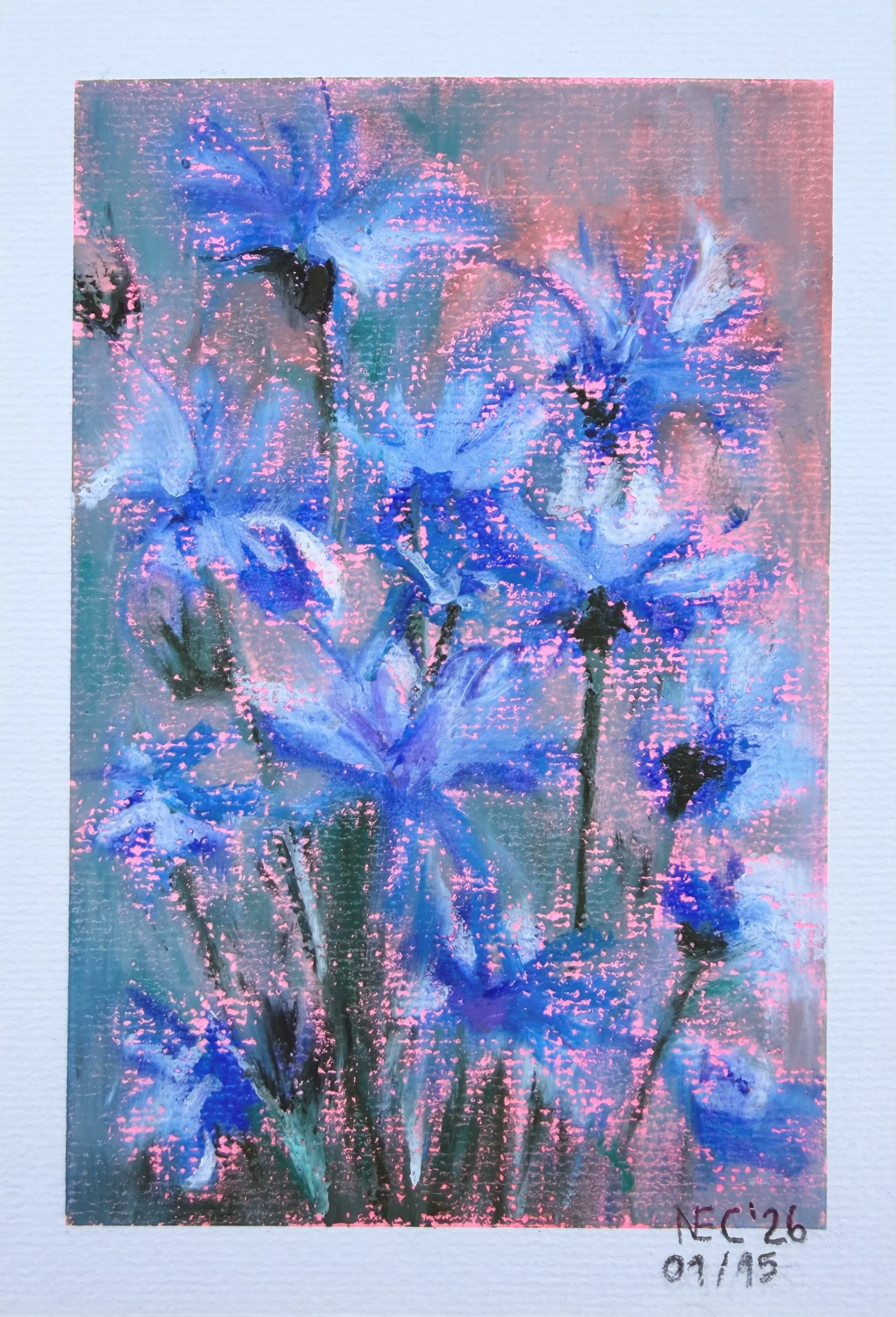 blue-cornflower-watercolor-painting-sunrise.jpeg