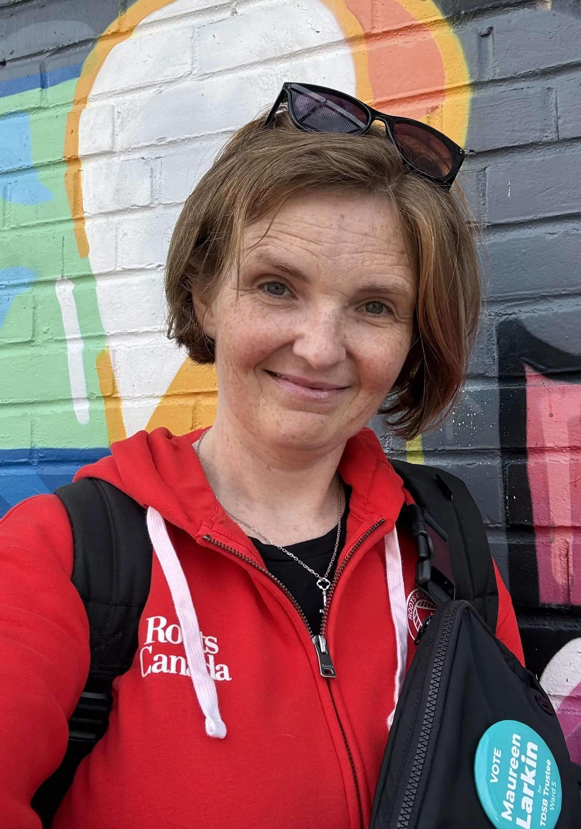 What is the Role of a School Trustee?
