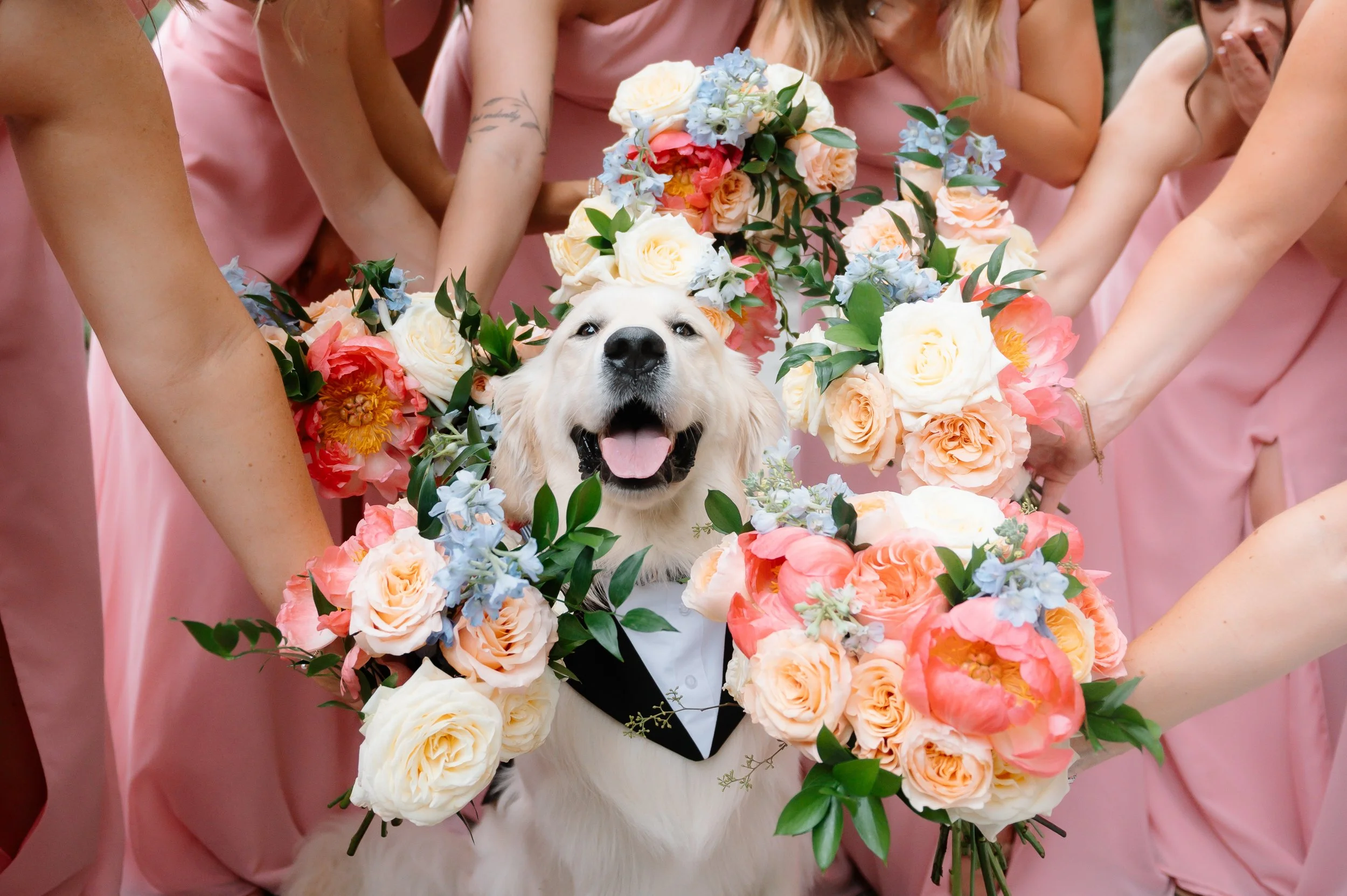 A white dog with a happy expression, surrounded by a floral wreath of pink, white, and blue flowers, with arms and pink dresses of women visible around it.