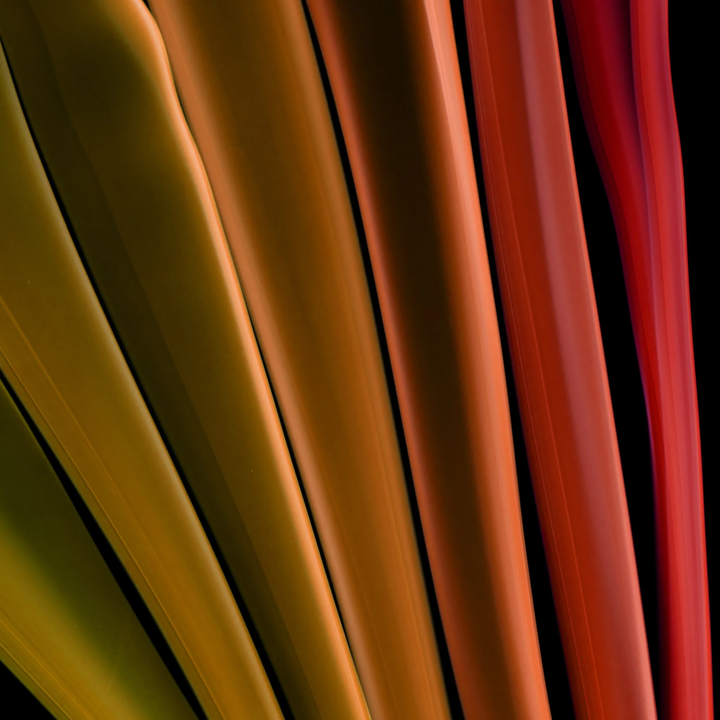 Transient 7