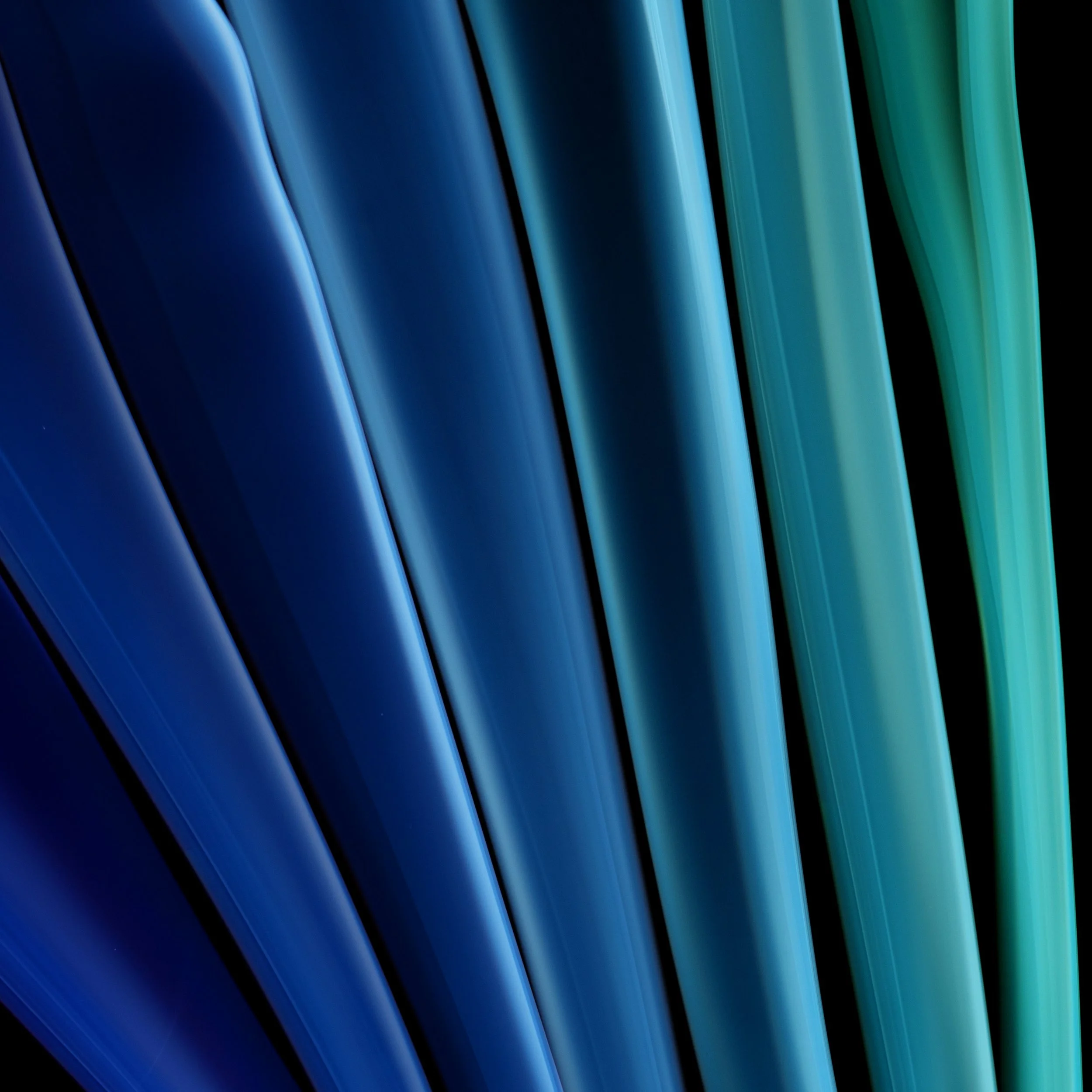 Transient 8