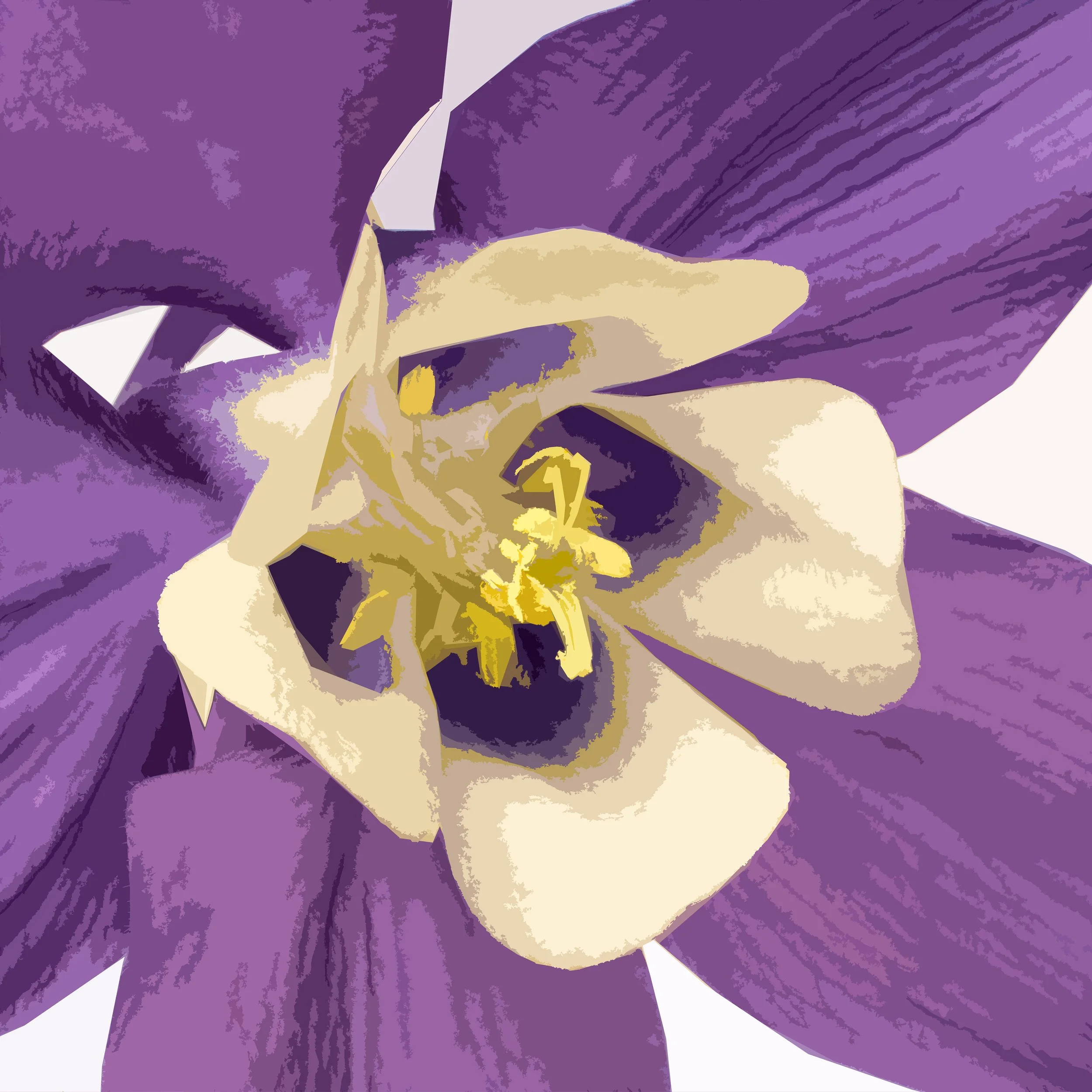 columbine close up on white.jpg