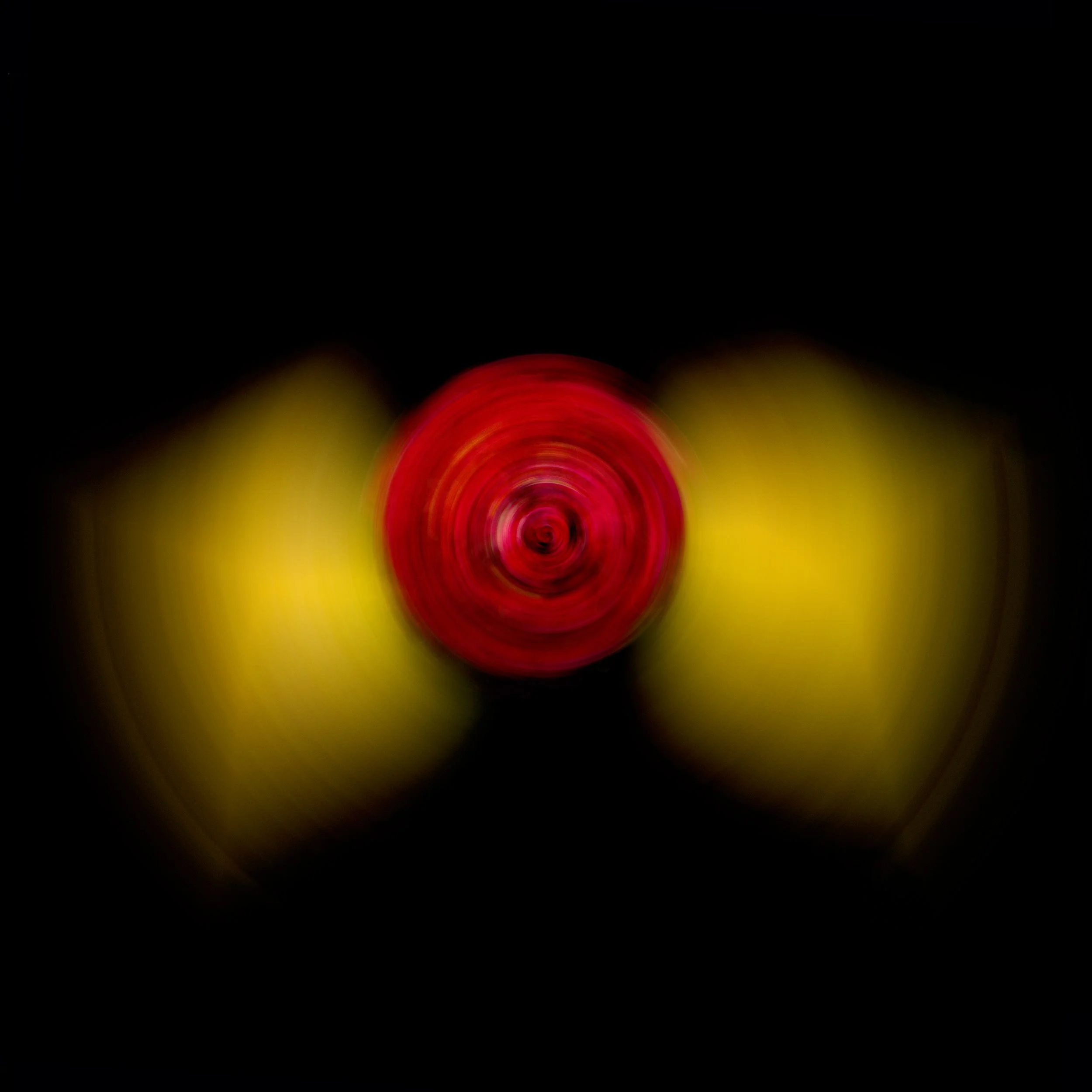 Camelia Spin.jpg