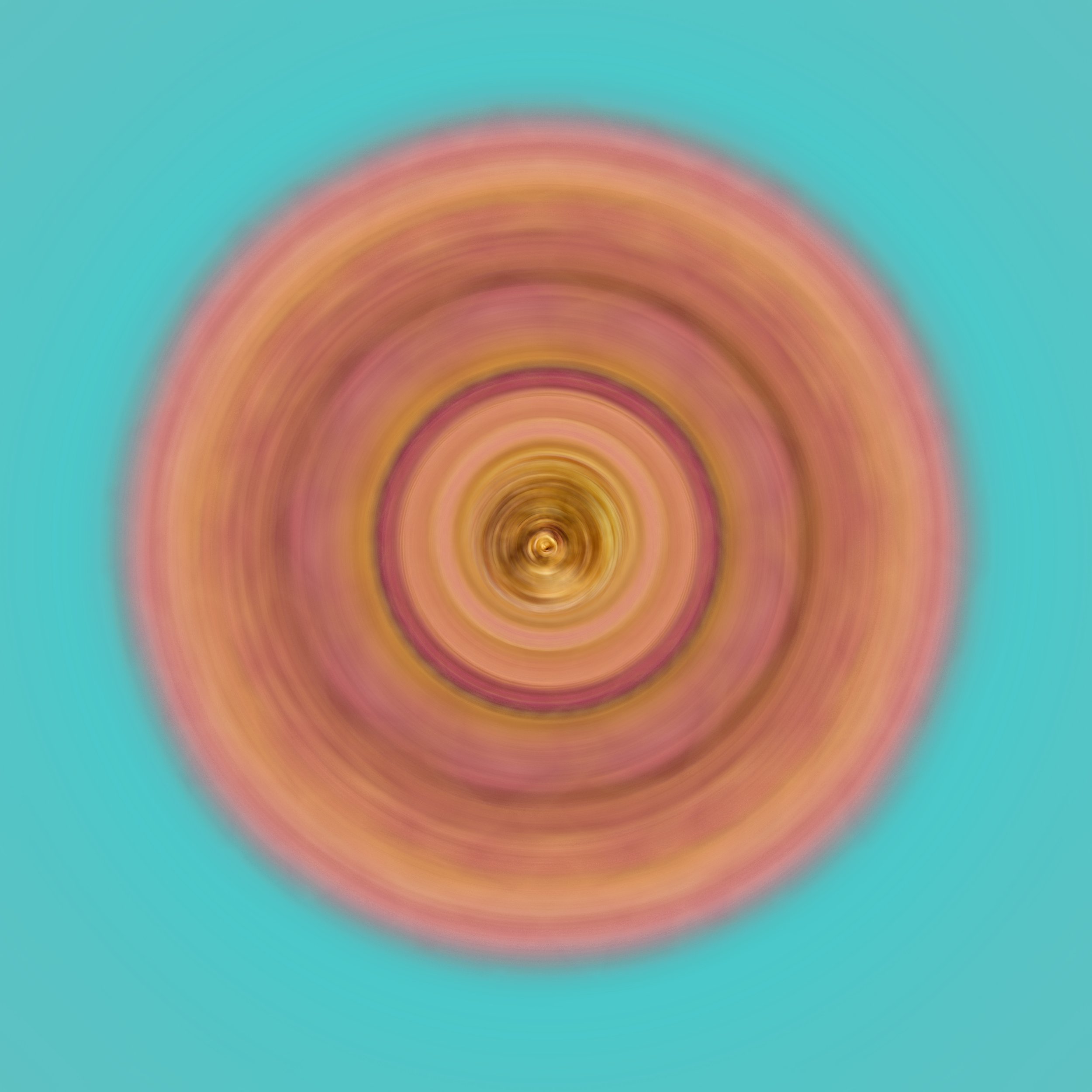 Goddesses
Abstracted images created from a floral base and is composed of dozens of original elements.
