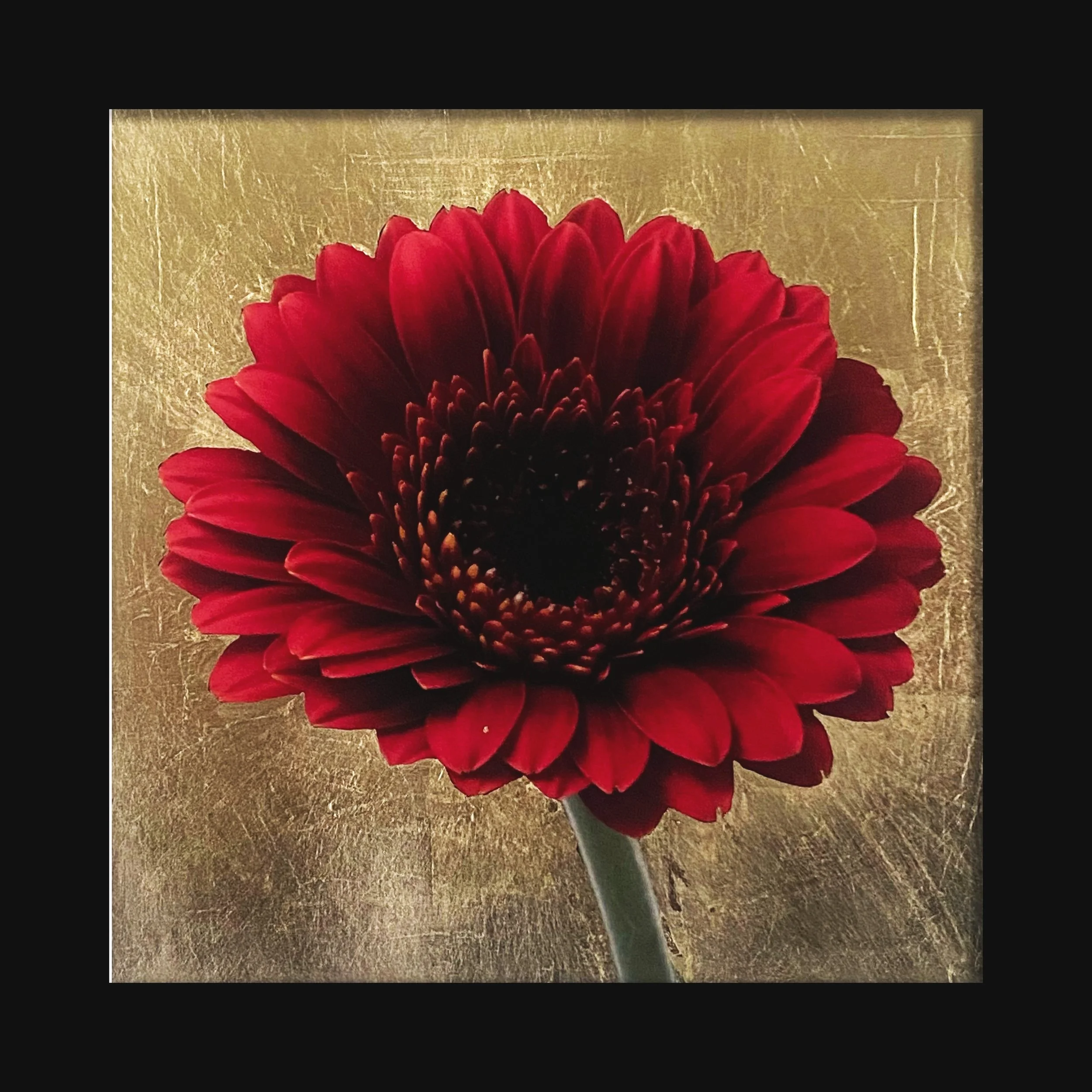 Gold embellished photographic print