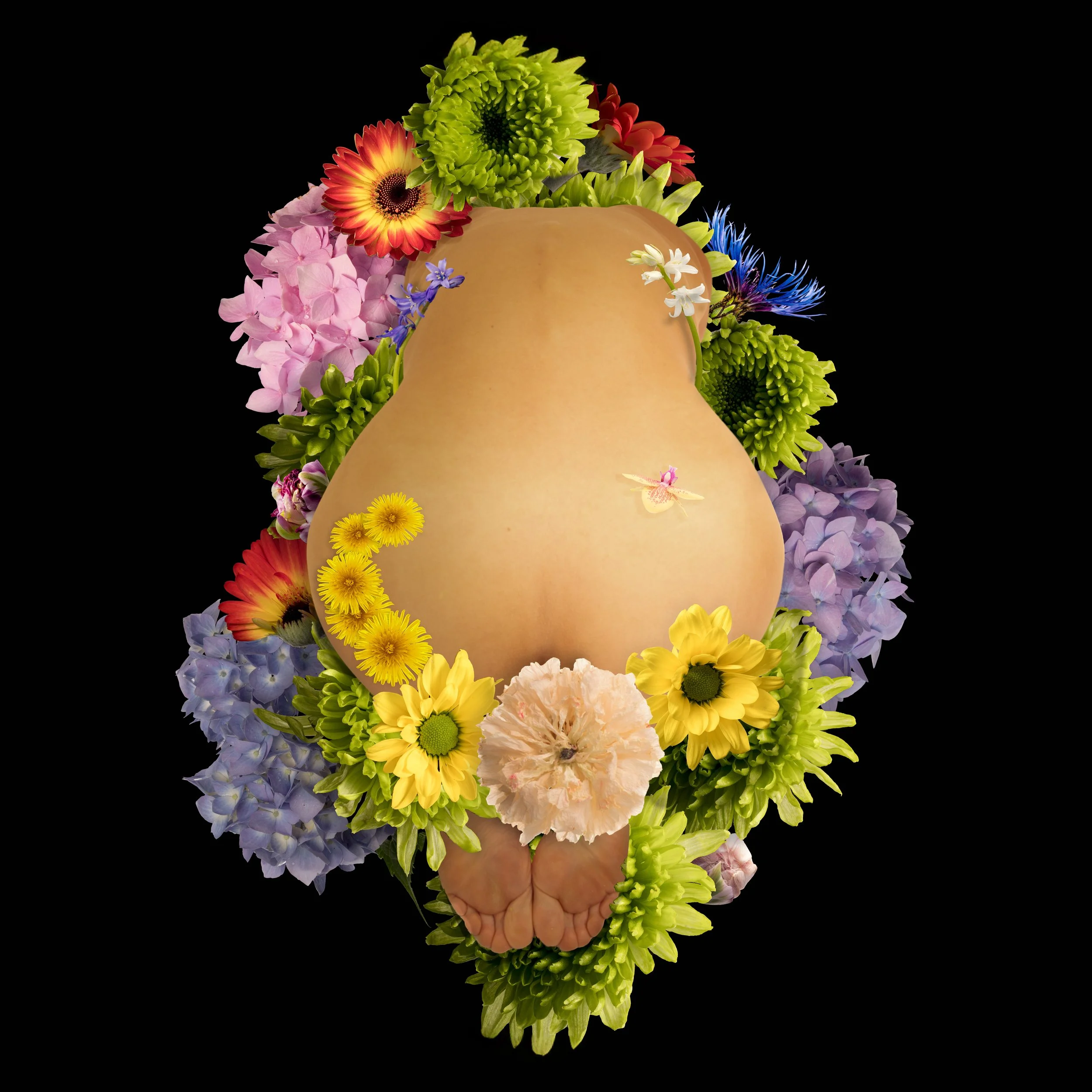 Flora and Figure