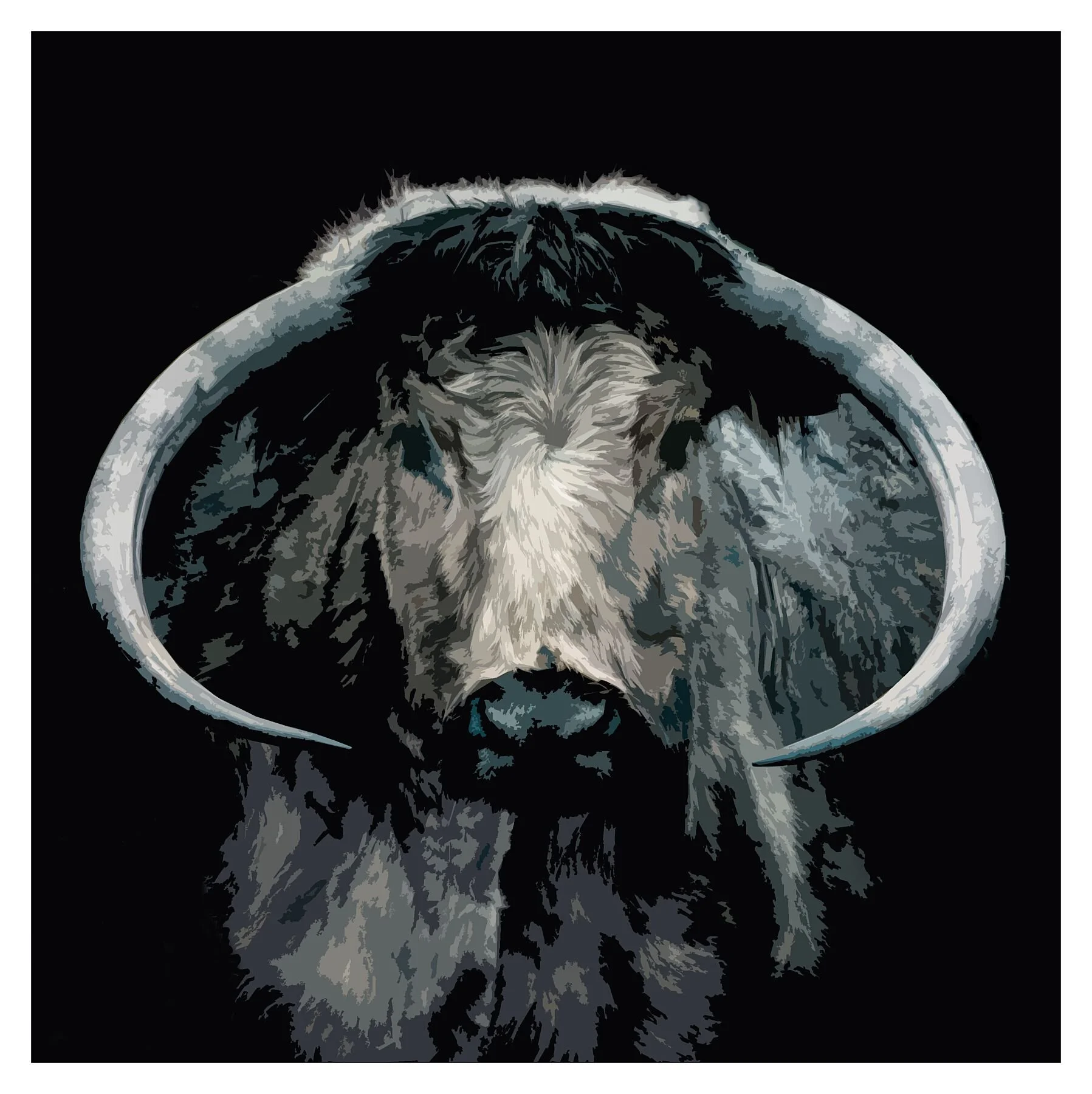 Cattle  1