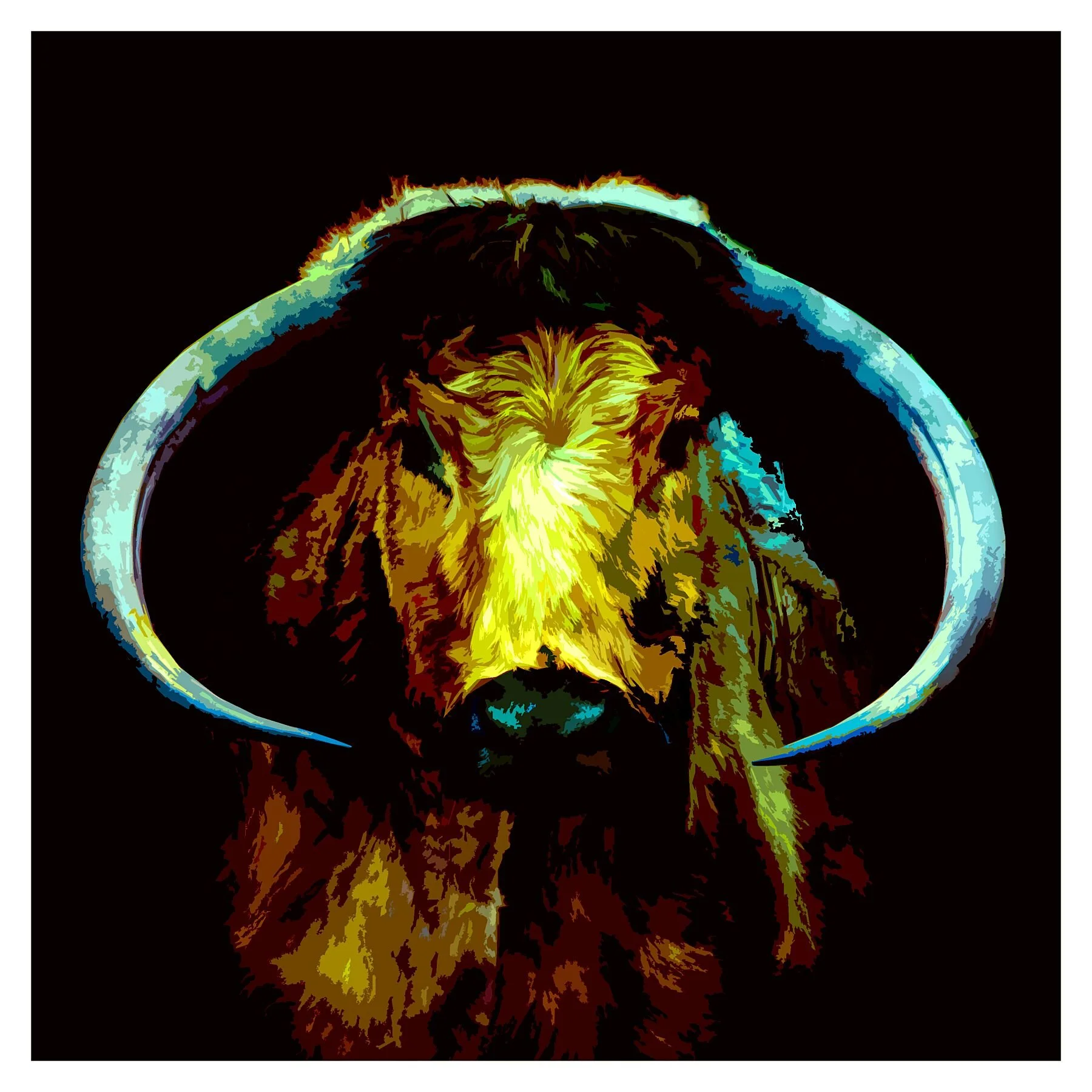 Cattle Poster 4