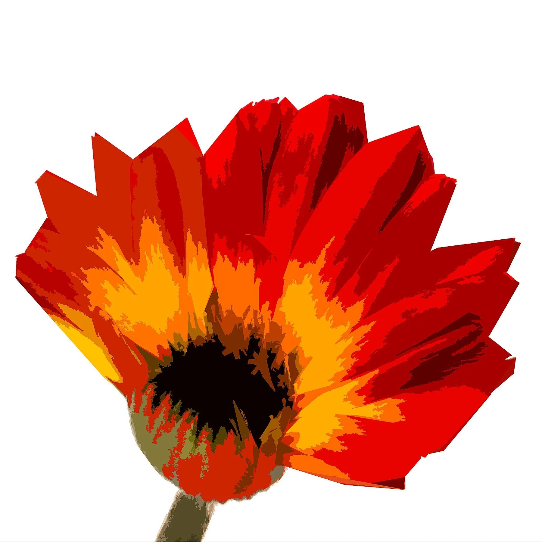 Gerbera Fan