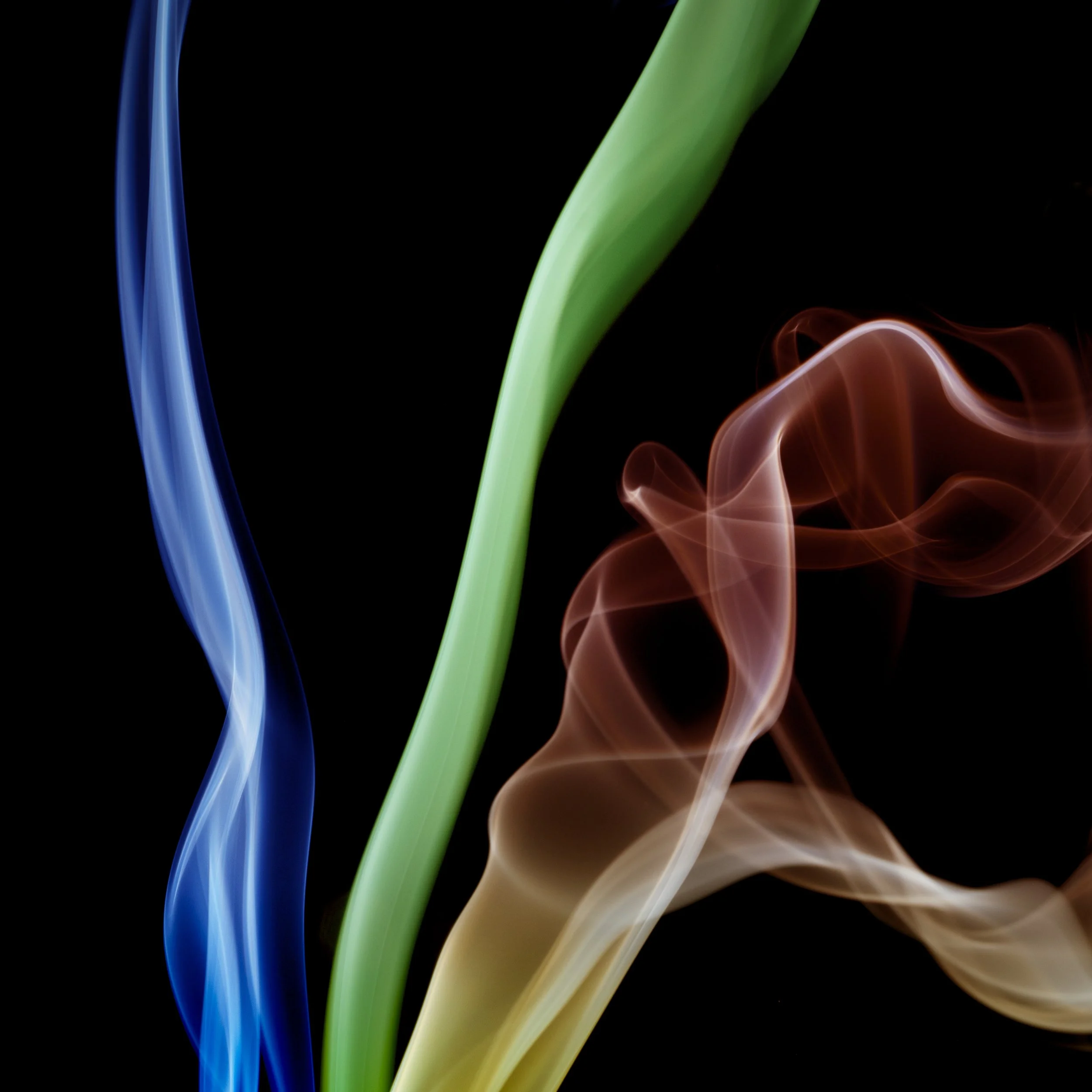 Transient Elements