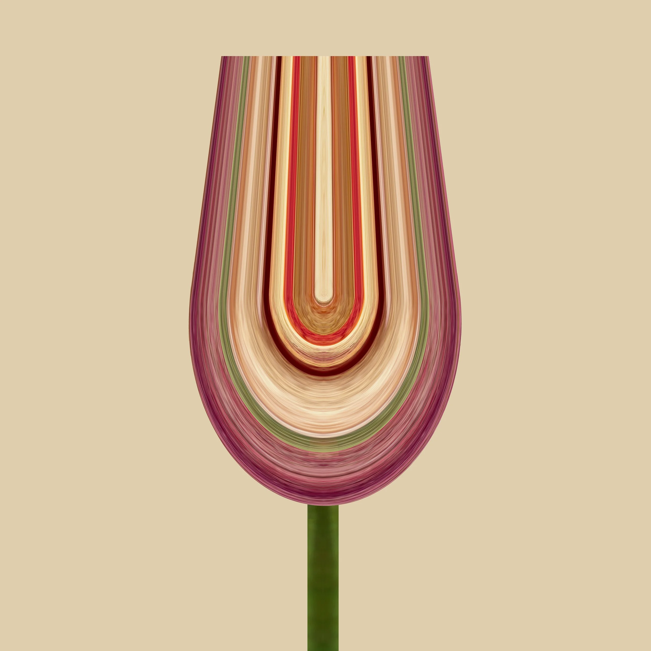 Rose 1