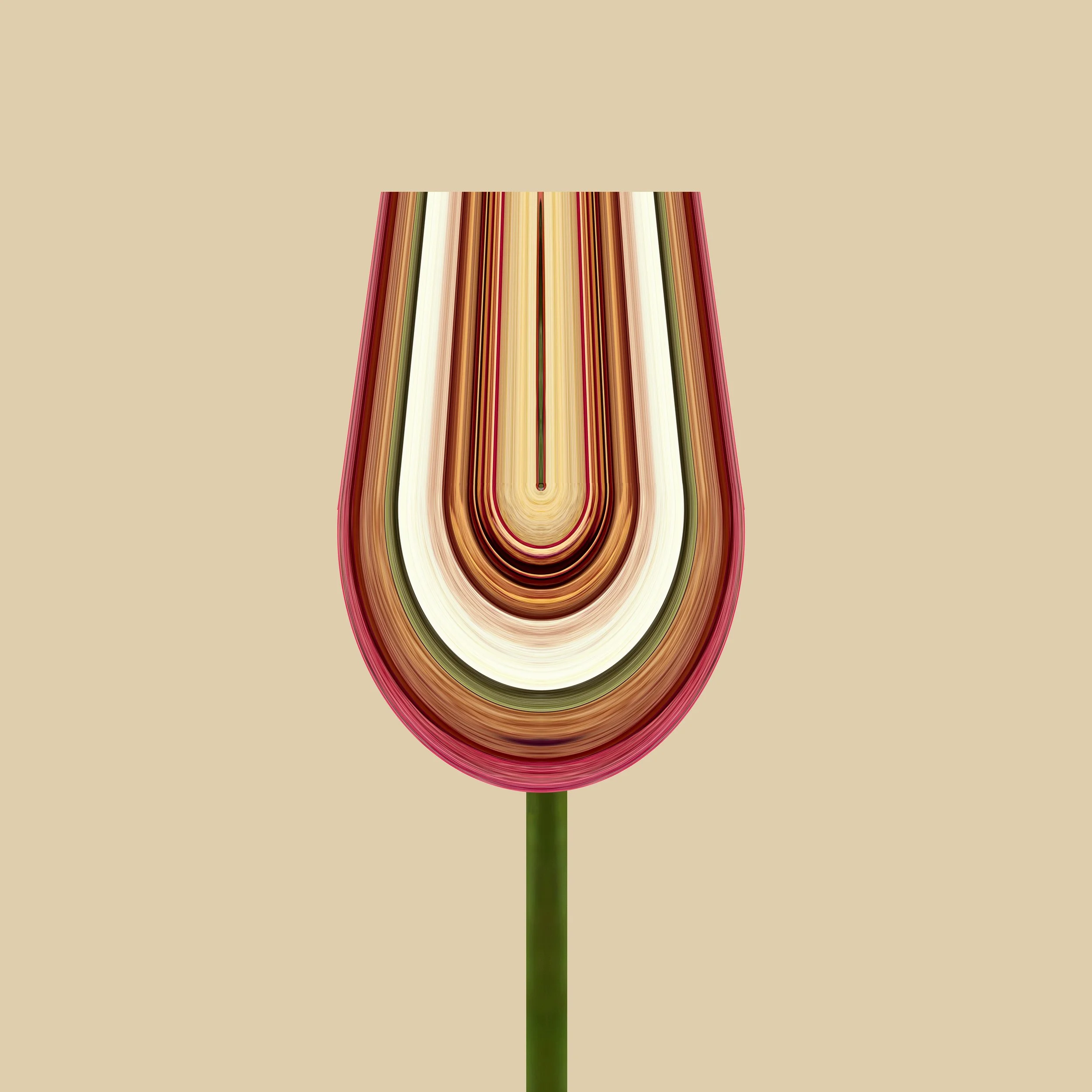 Rose 2