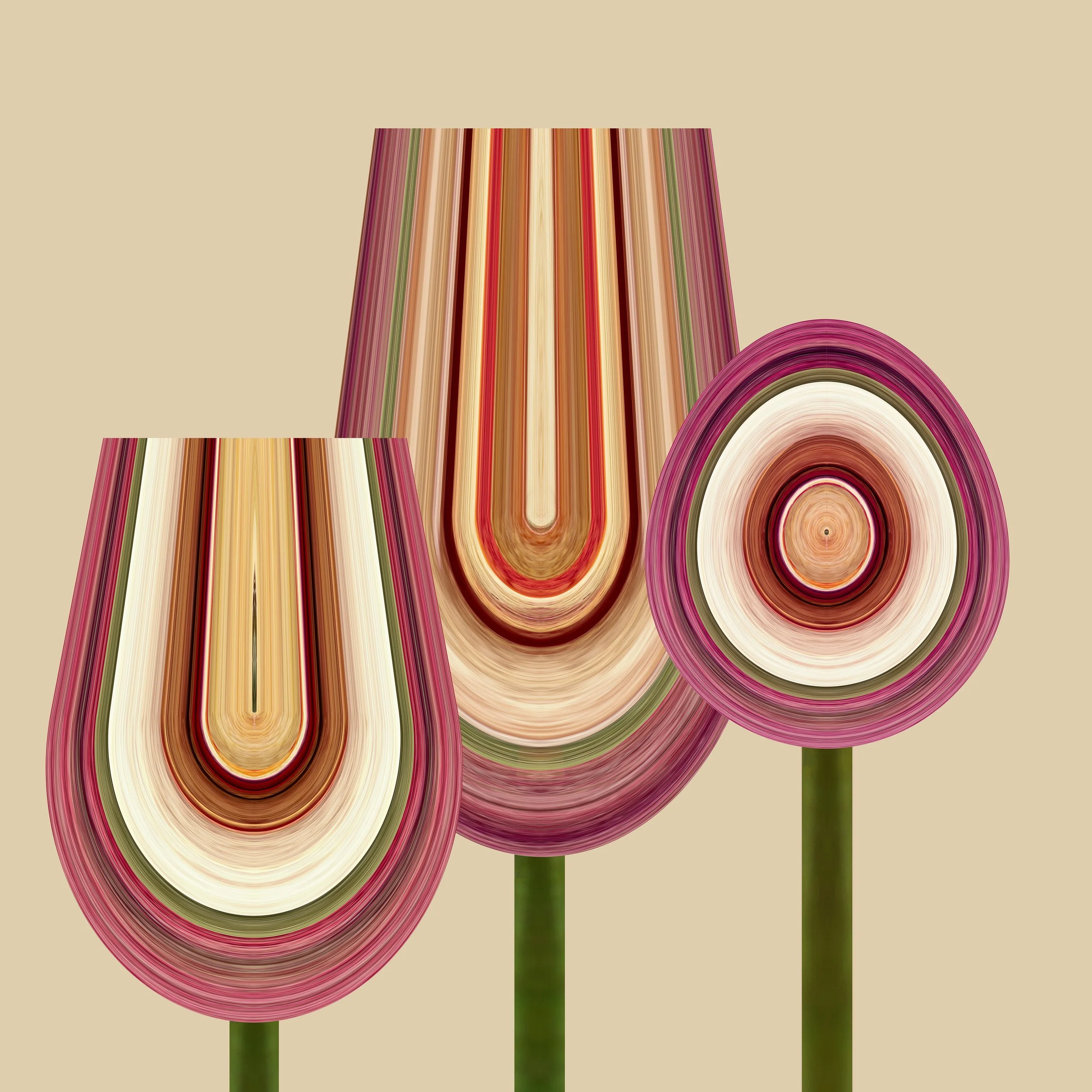 Rose Buds