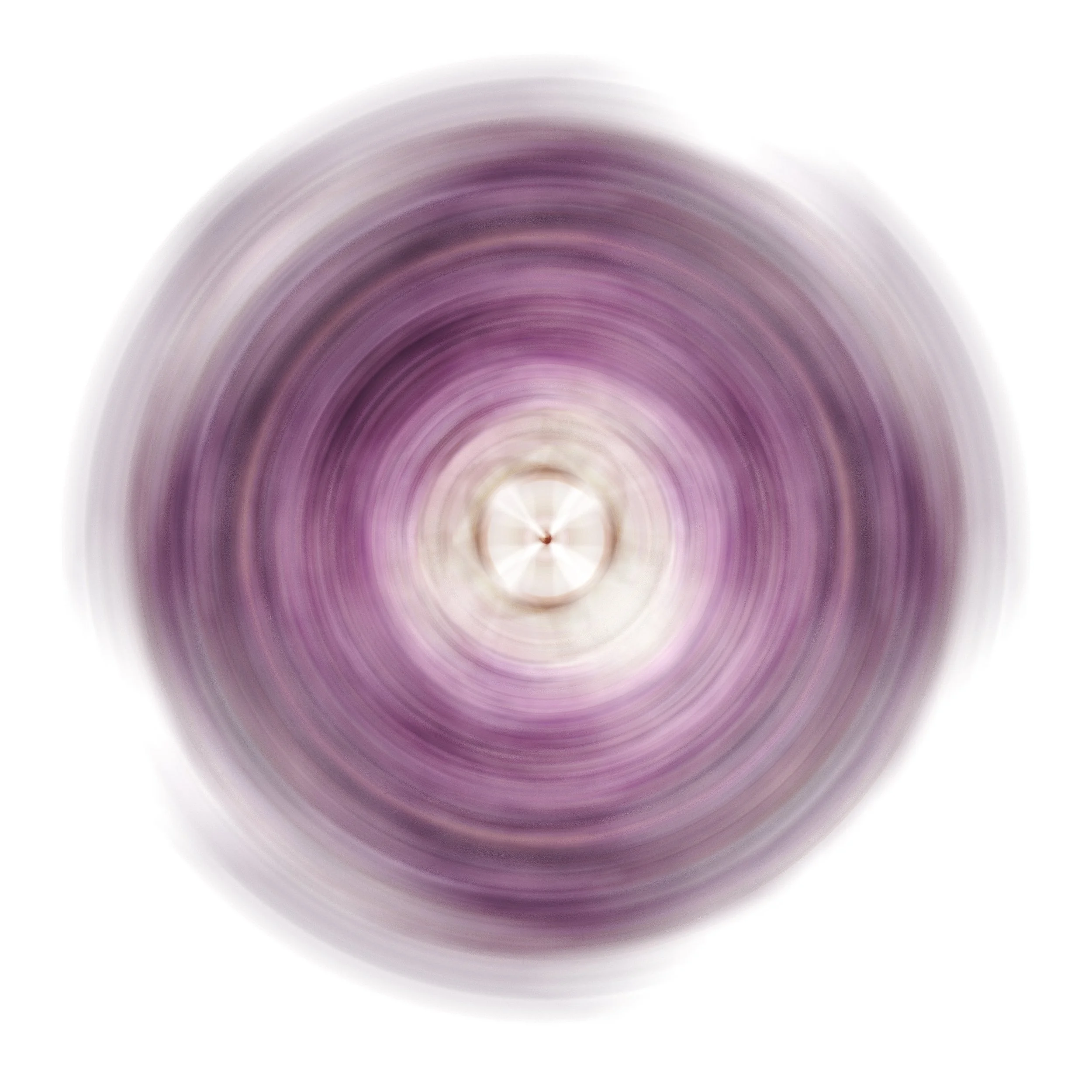 Flower Rotation 12