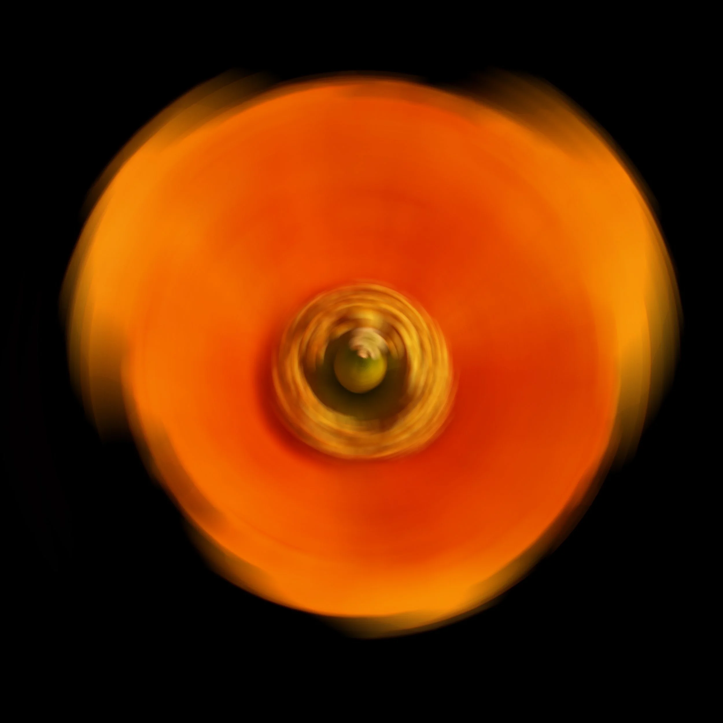 Flower Rotation 11