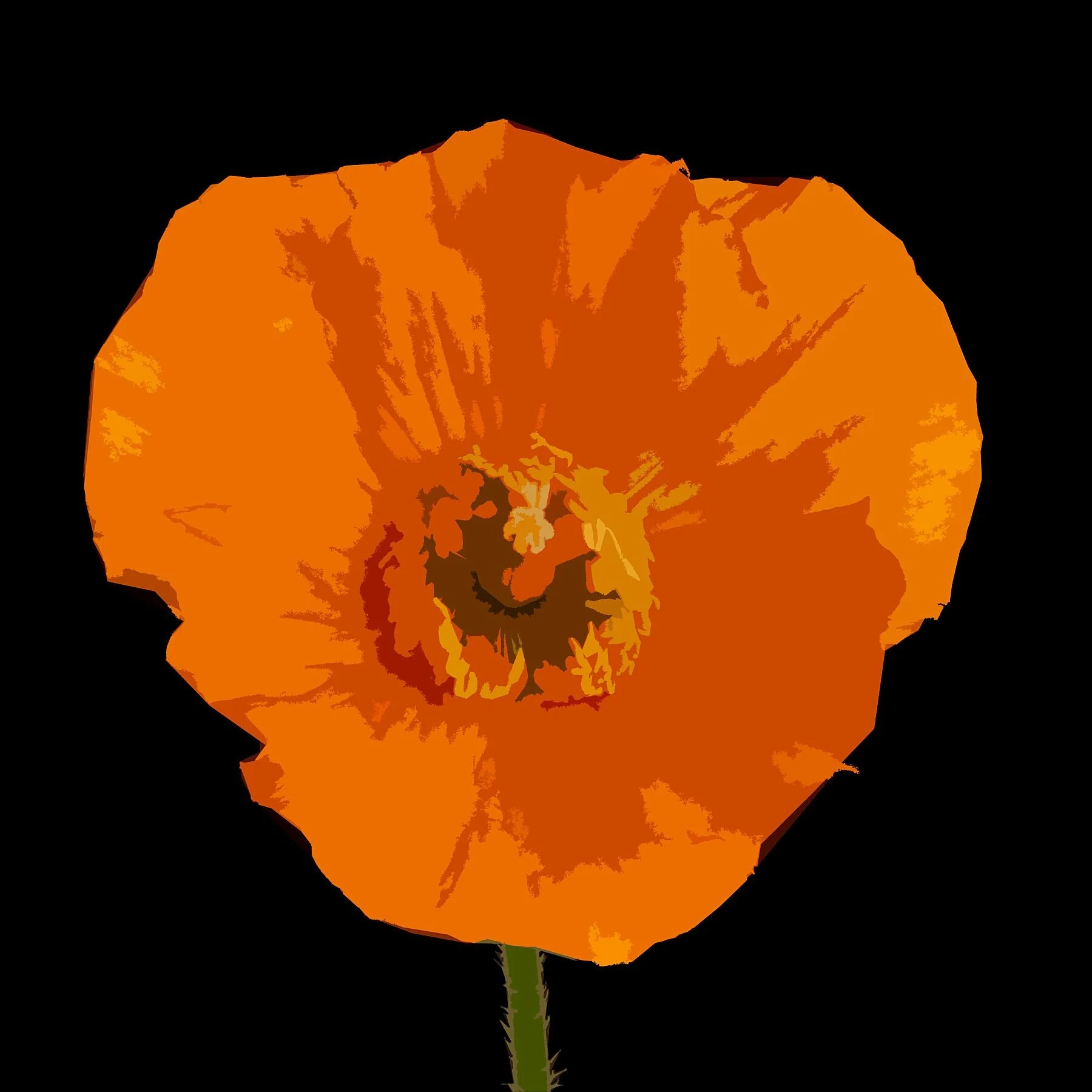 Orange Poppy Graphic on Black