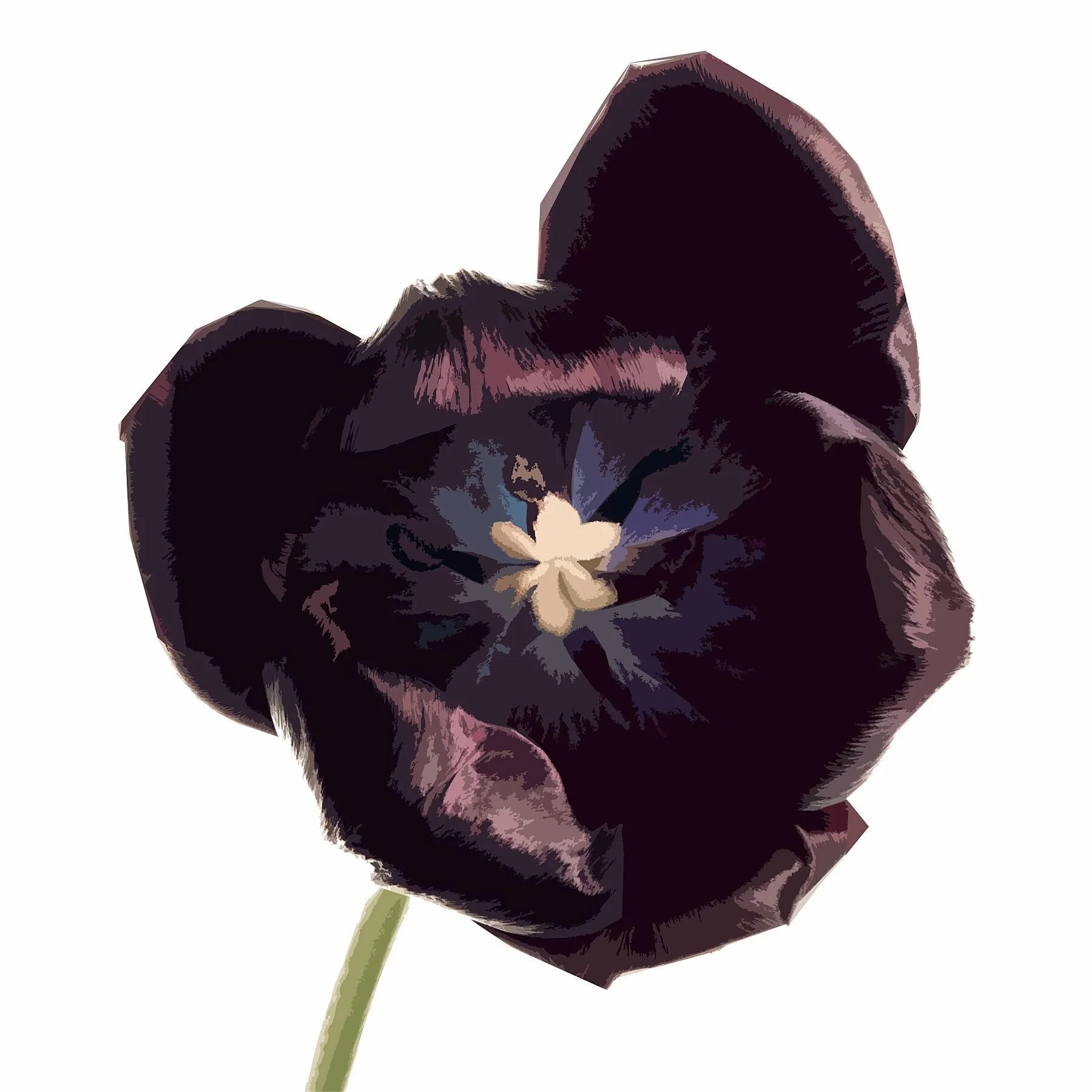 Taffeta Tulip