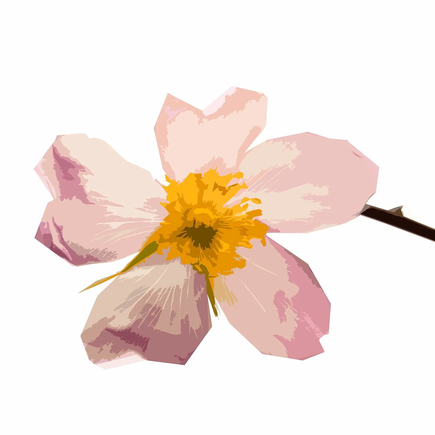 Wild Rose