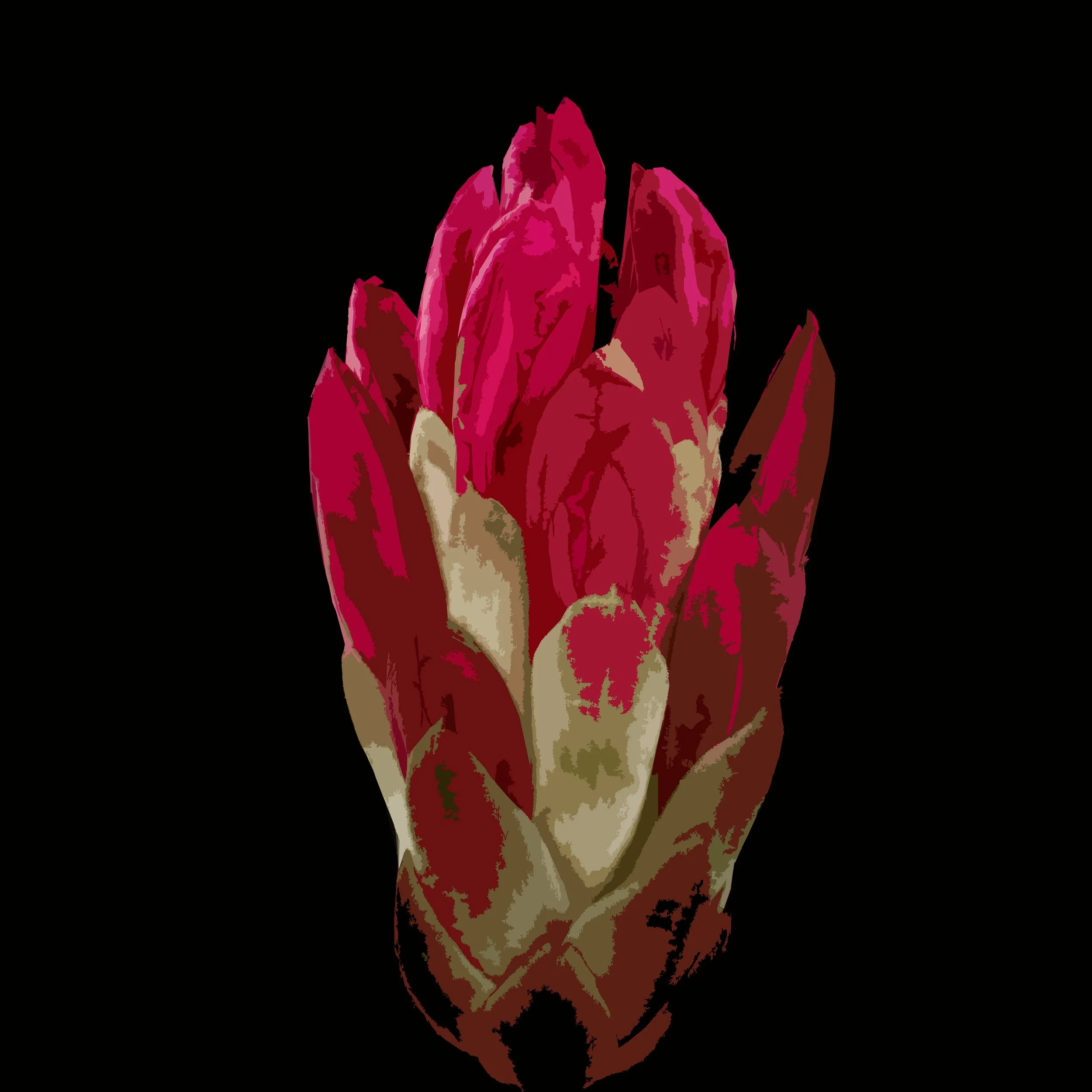 Rhododendron